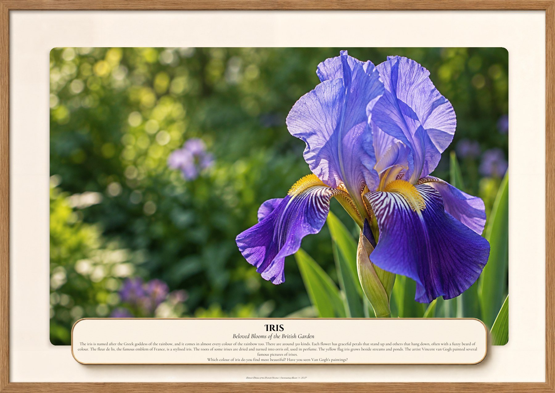 Iris, Beloved Blooms of the British Garden, Outstanding Inside