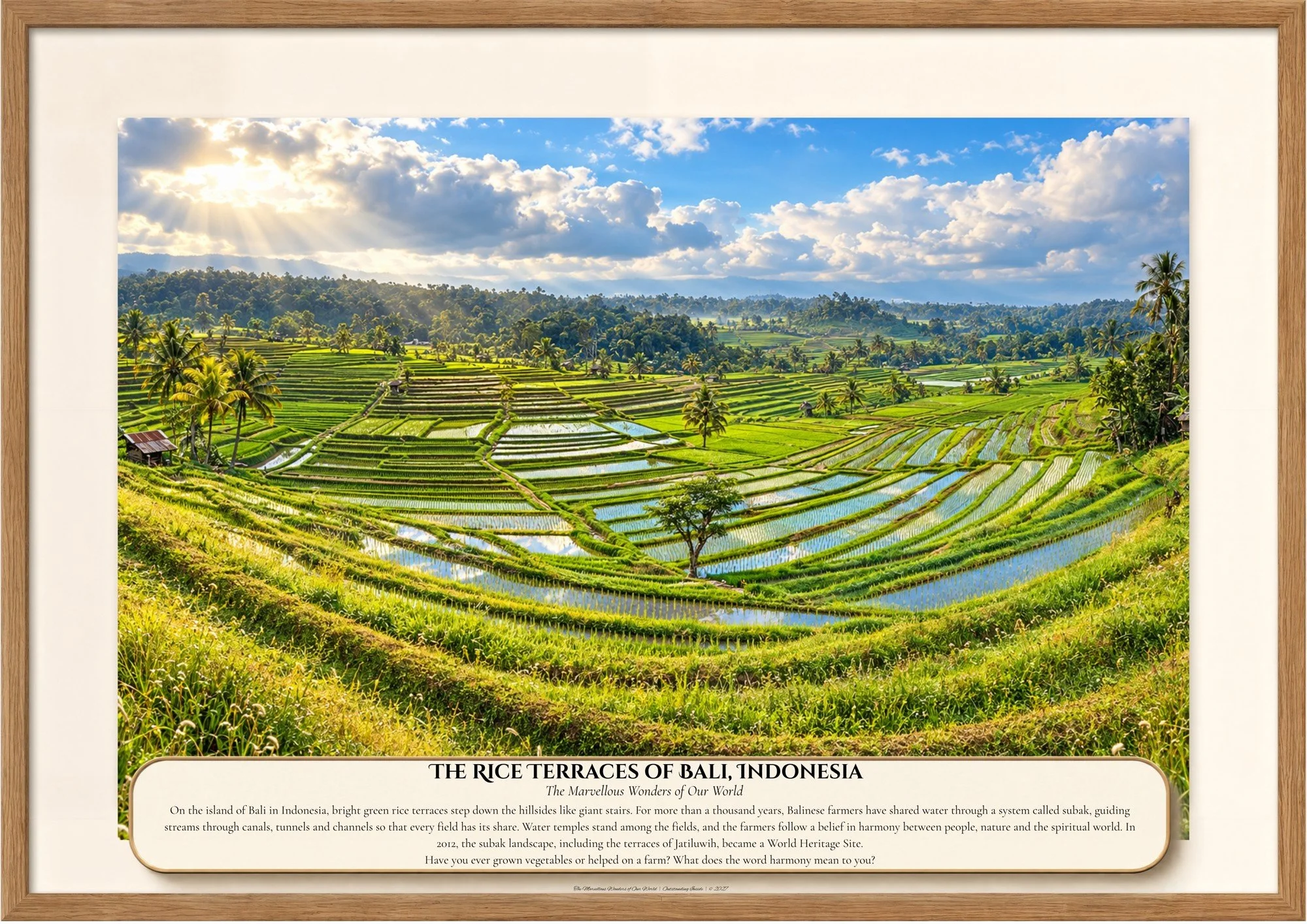 047 The Rice Terraces of Bali, Indonesia.jpg
