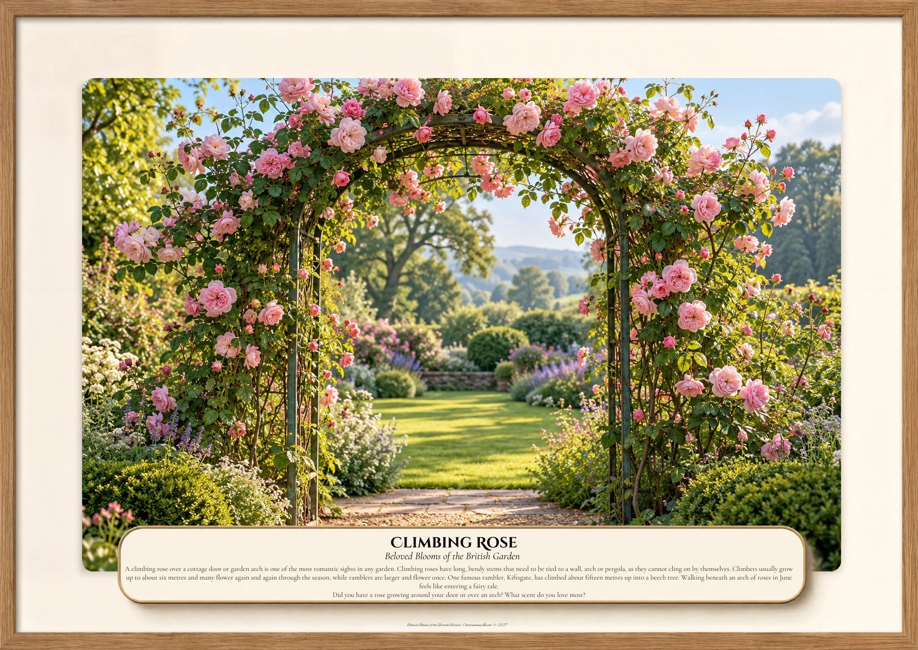 Climbing Rose, Beloved Blooms of the British Garden, Outstanding Inside