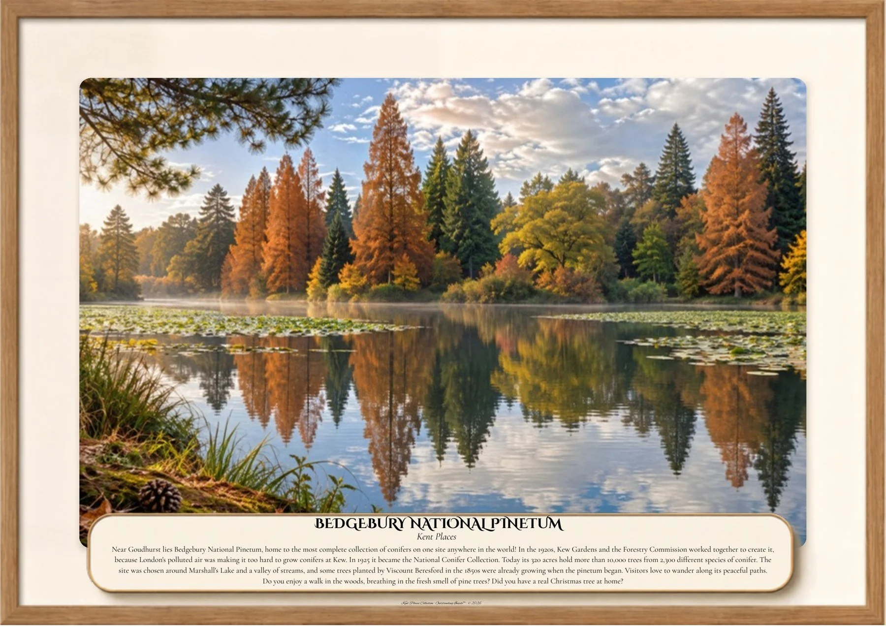 38 BEDGEBURY NATIONAL PINETUM.jpg