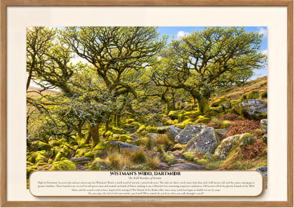 028 Wistman's Wood, Dartmoor.png