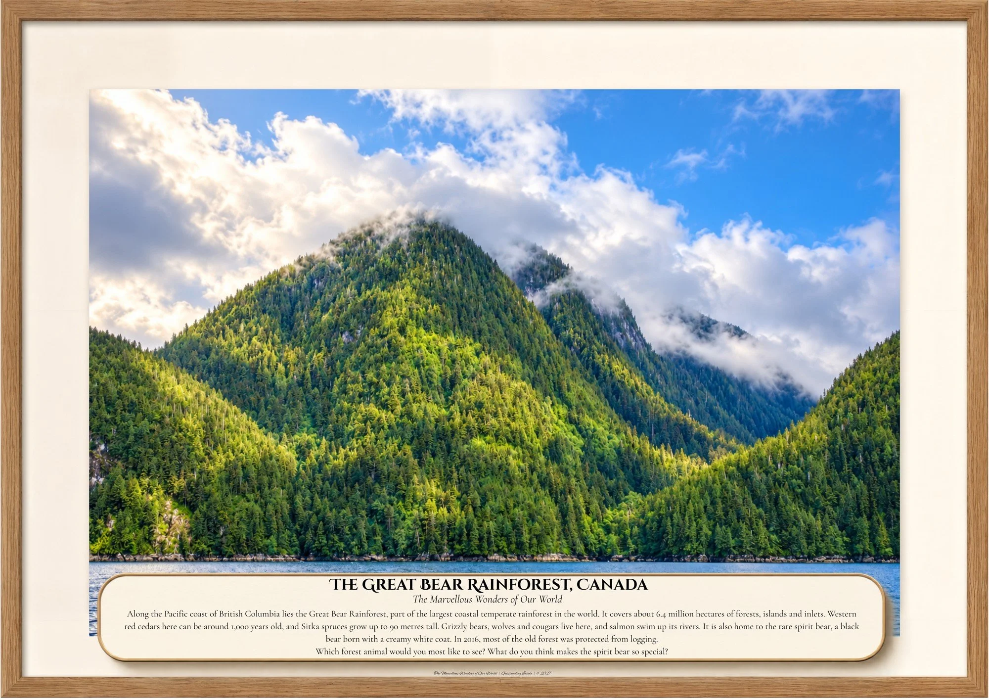 026 The Great Bear Rainforest, Canada.jpg