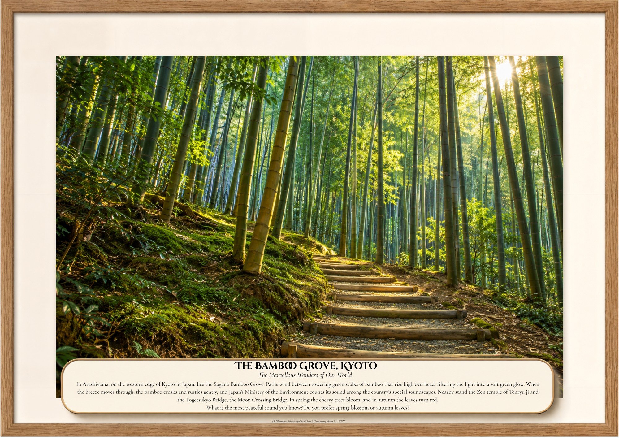 023 The Bamboo Grove, Kyoto.jpg