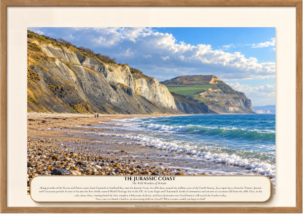 044 The Jurassic Coast.png