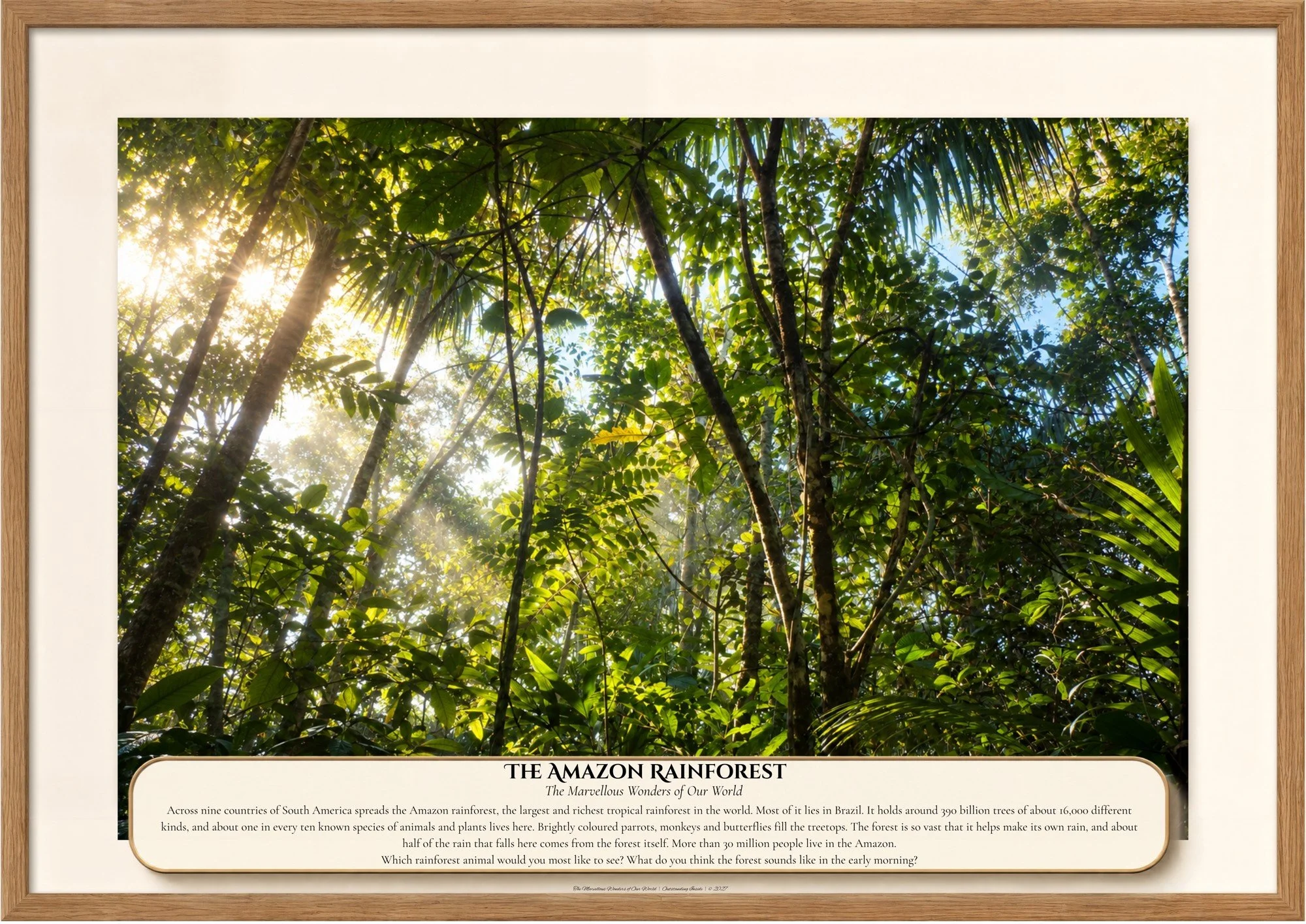 021 The Amazon Rainforest.jpg