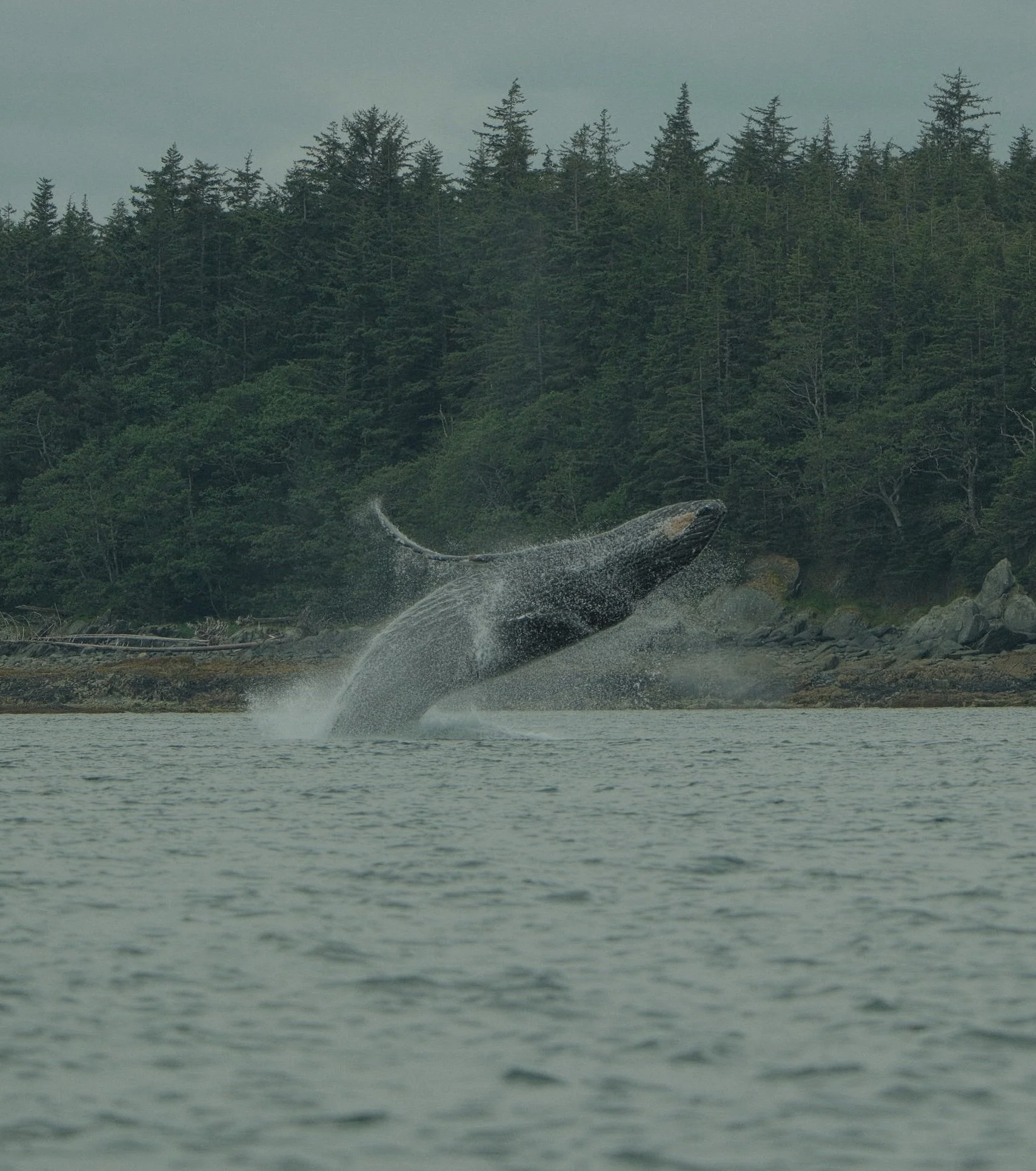 DSCF0927.jpg