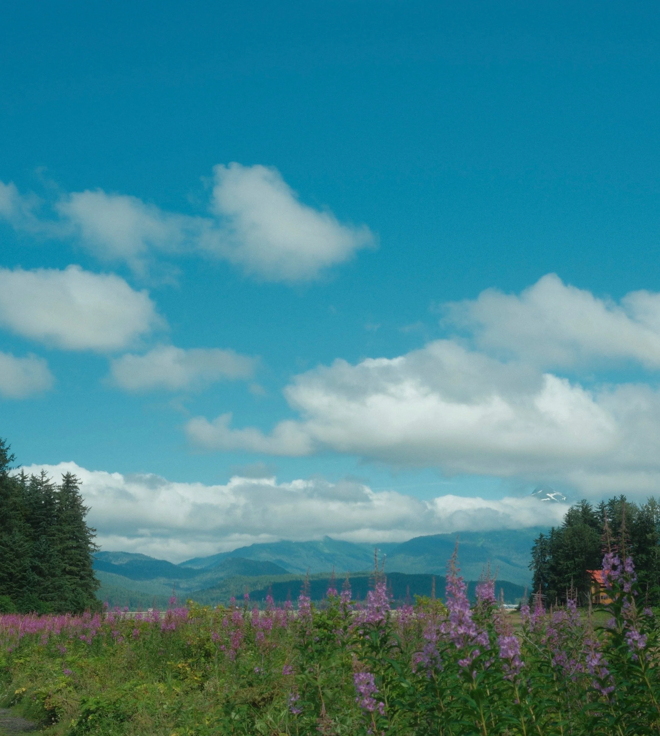 DSCF0771.JPG