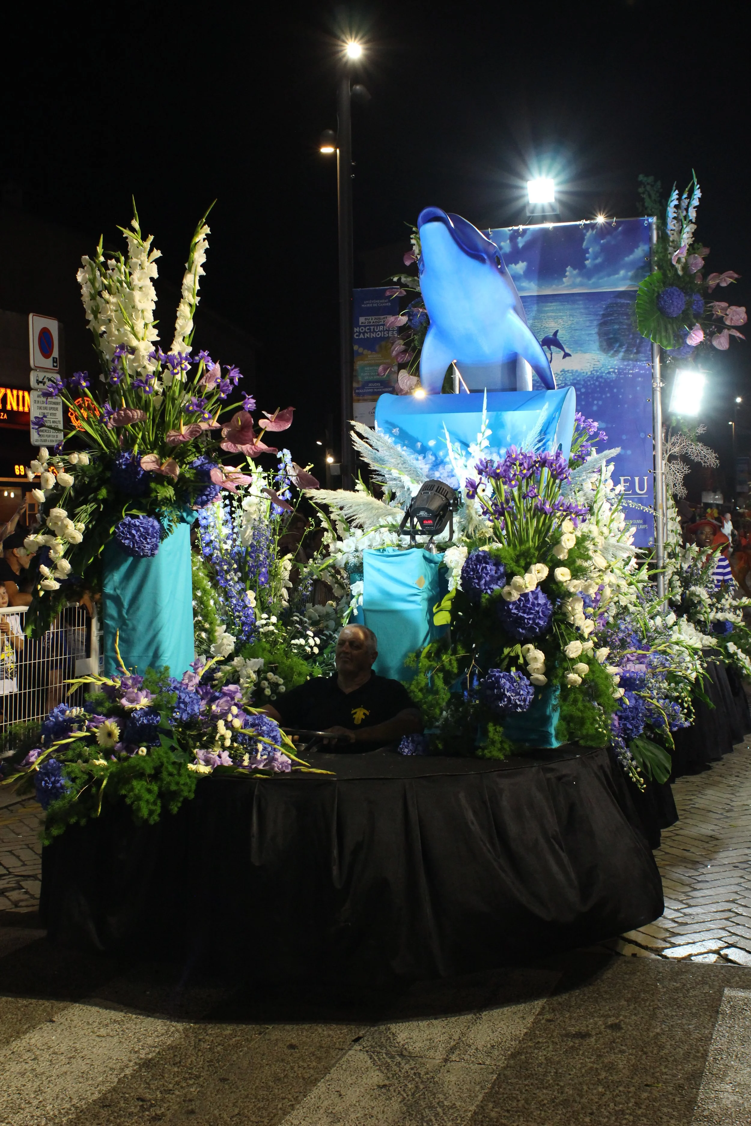 Un défilé de carnaval nocturne avec une grande plateforme recouverte de fleurs violettes, blanches et roses, décorée d'un grand dauphin bleu en 3D et d'un fond représentant la mer et le ciel. Des lumières illuminent la scène et des spectateurs regard