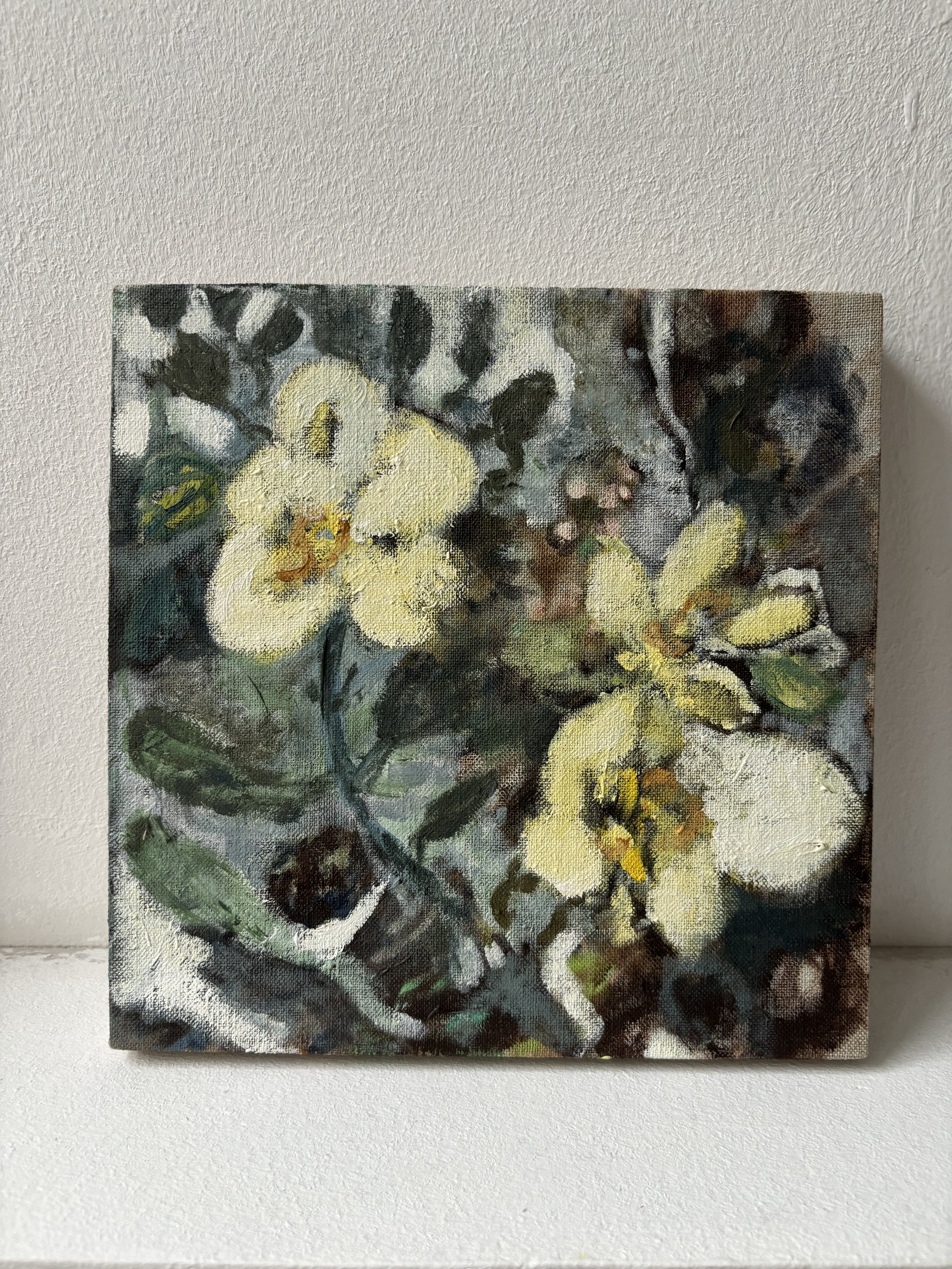 Night Garden, 
Oil on linen, 20 x 20 cm
2022