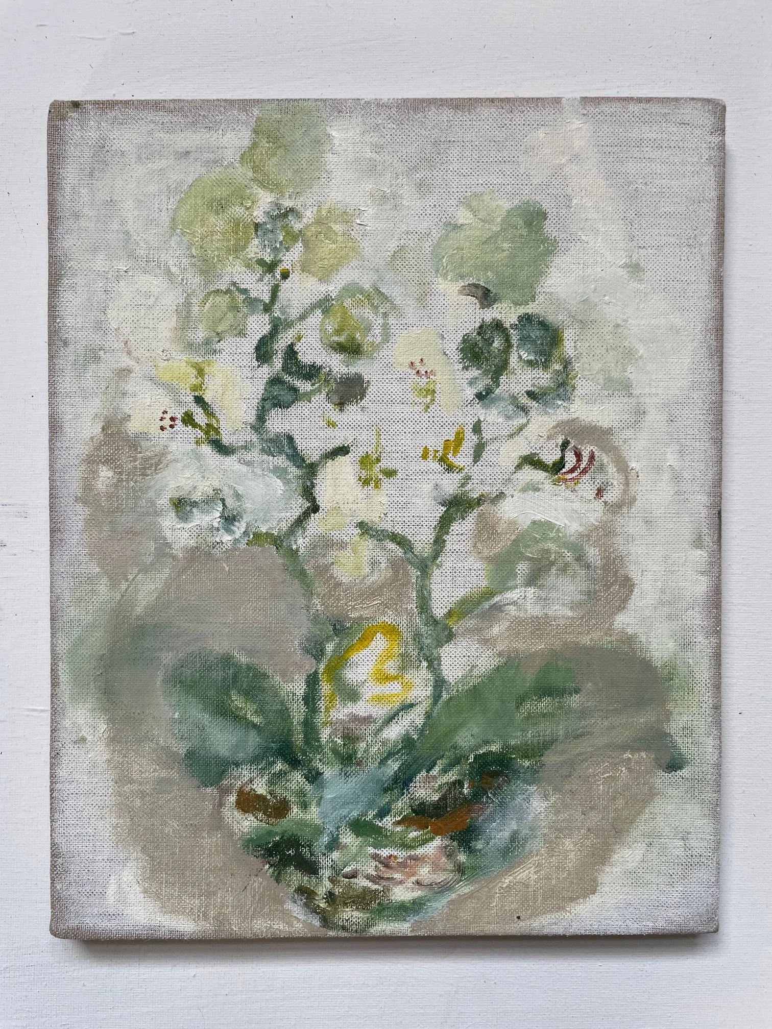 White Orchids (Nothing more to say)
Oil on linen, 20 x 25 cm
2023