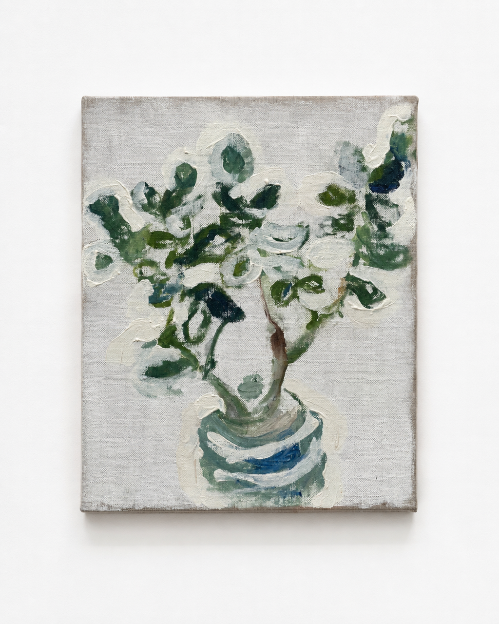 Money Plant,
Oil on linen, 20 x 25 cm
2023