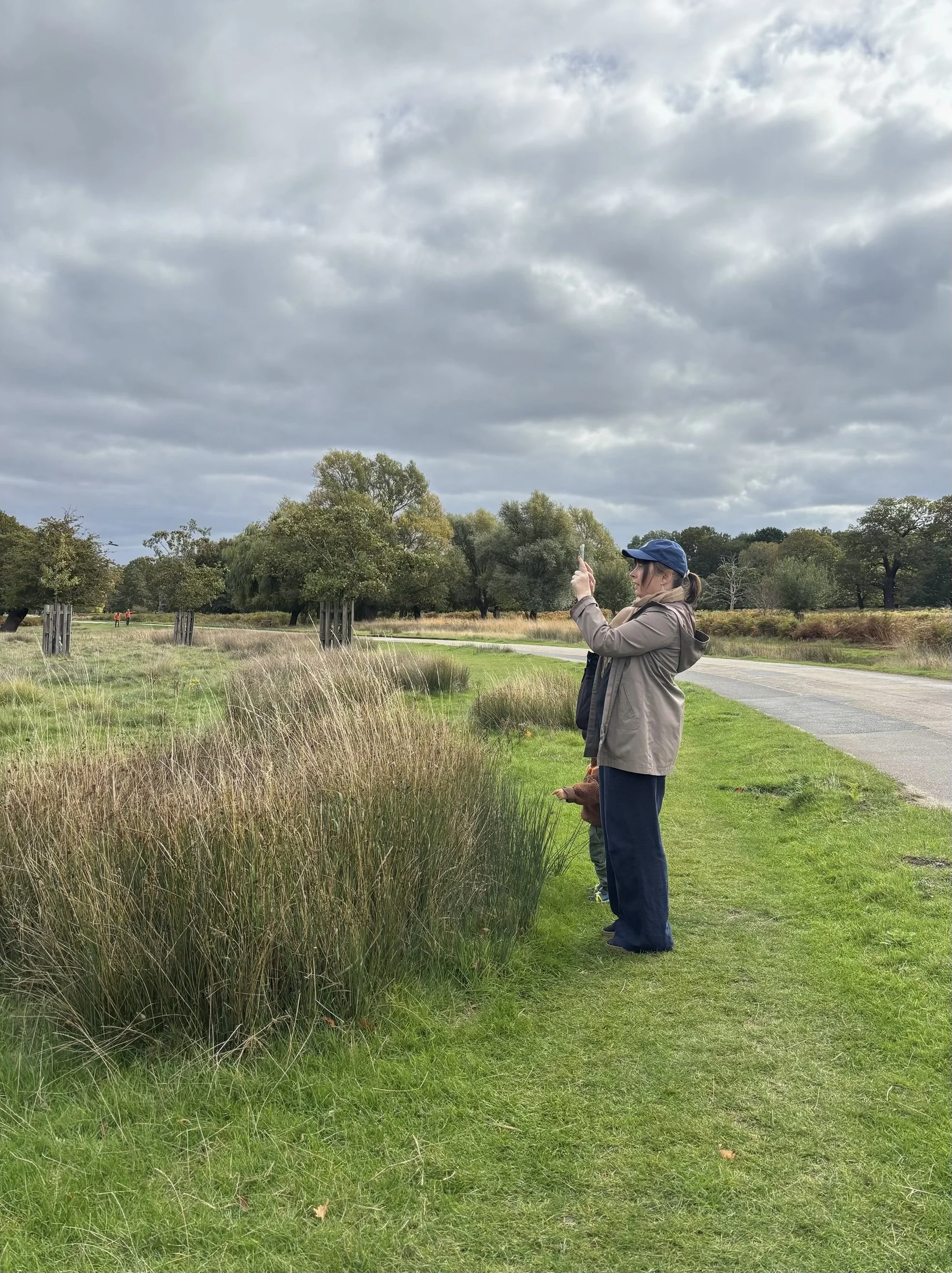 A woman artist  in a blue hat and gray jacket takes a photo with her phone beside tall grass in the landscape with trees and cloudy sky overhead in Richmond Park London.