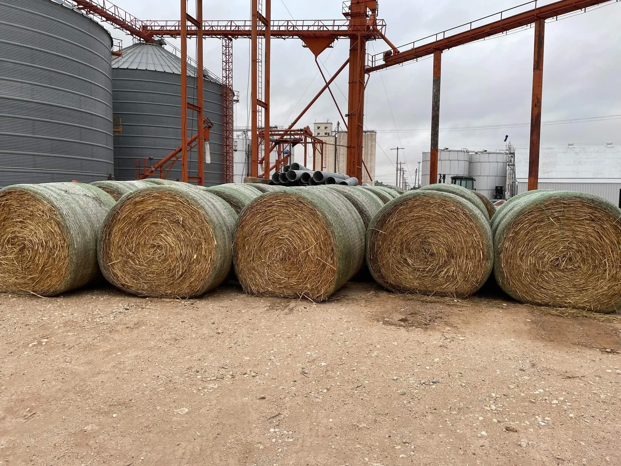 Hay - Haygrazer, Round Bale
