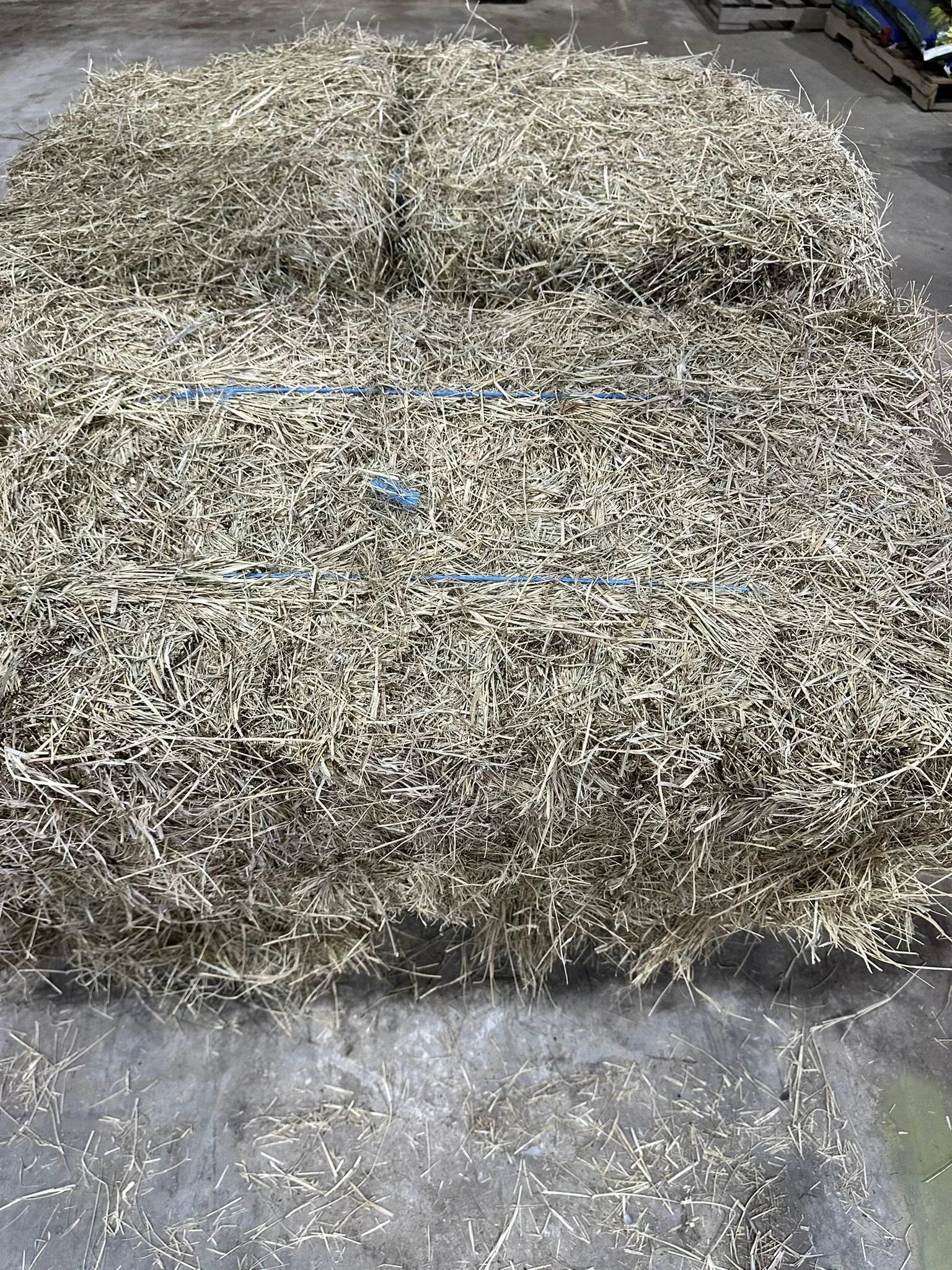 Hay - Grass, Square Bale