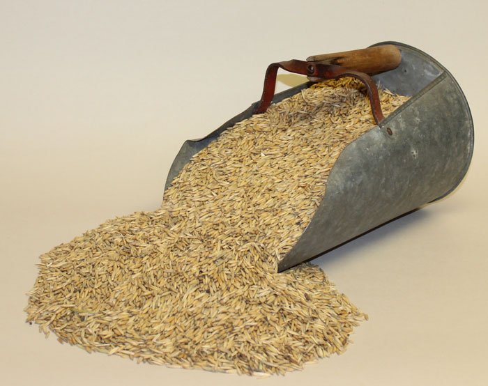 Bryant Premium Recleaned Whole Oats
