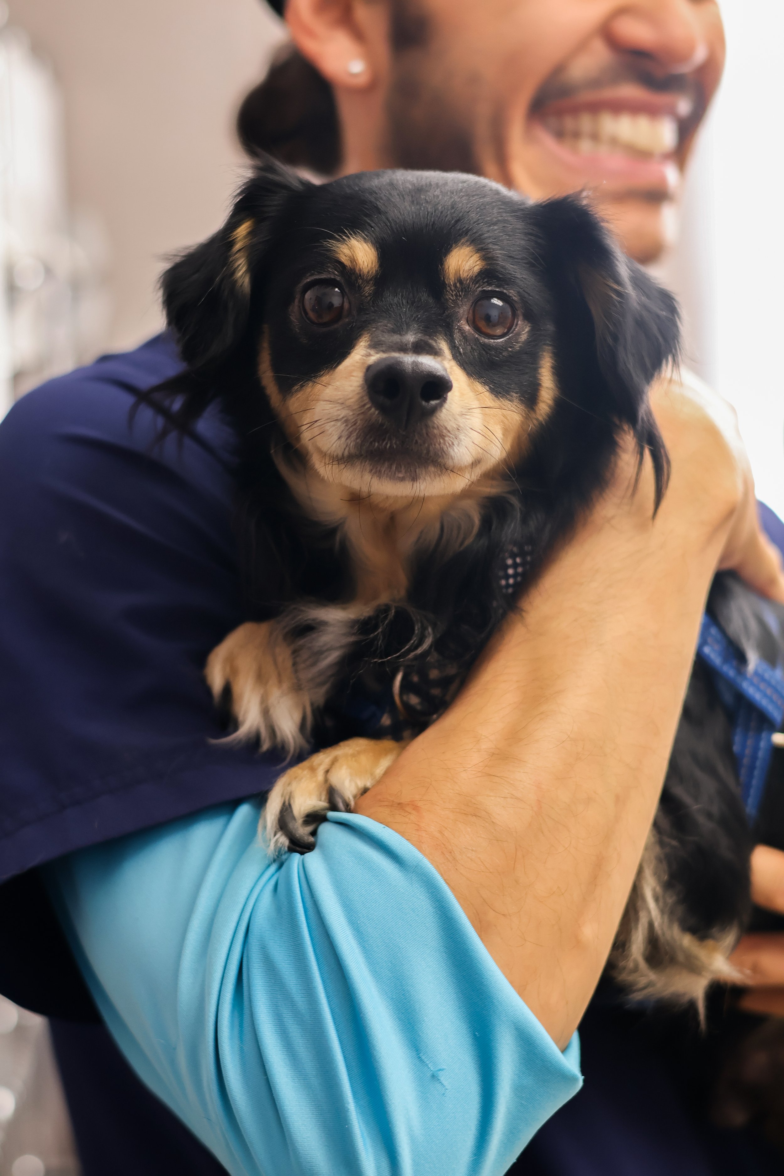 Person smiling while holding a small black and tan dog, with a light-colored background.