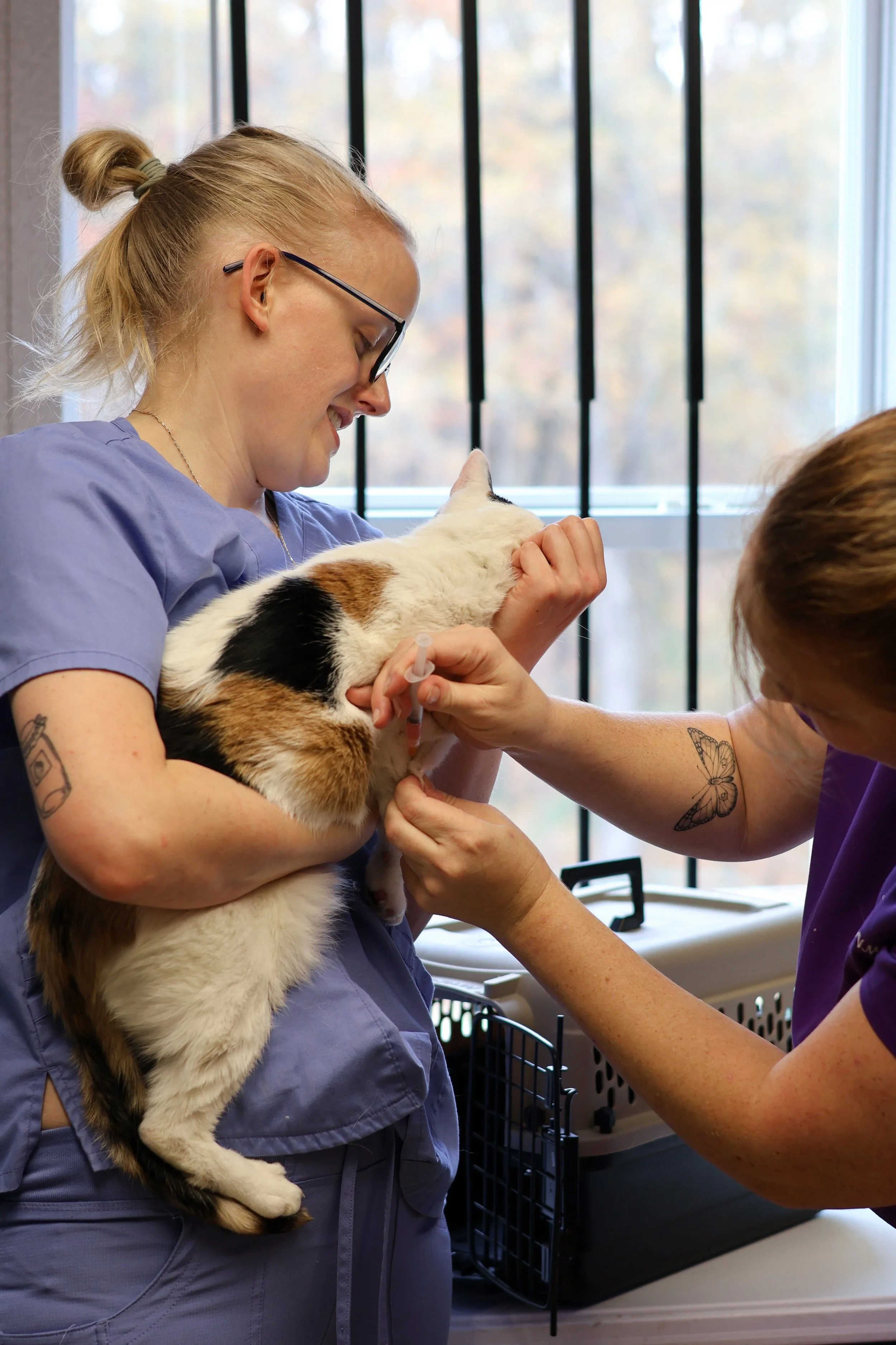 A woman in scrubs holding a calico cat at a veterinary clinic as a veterinarian prepares to give the cat an injection.