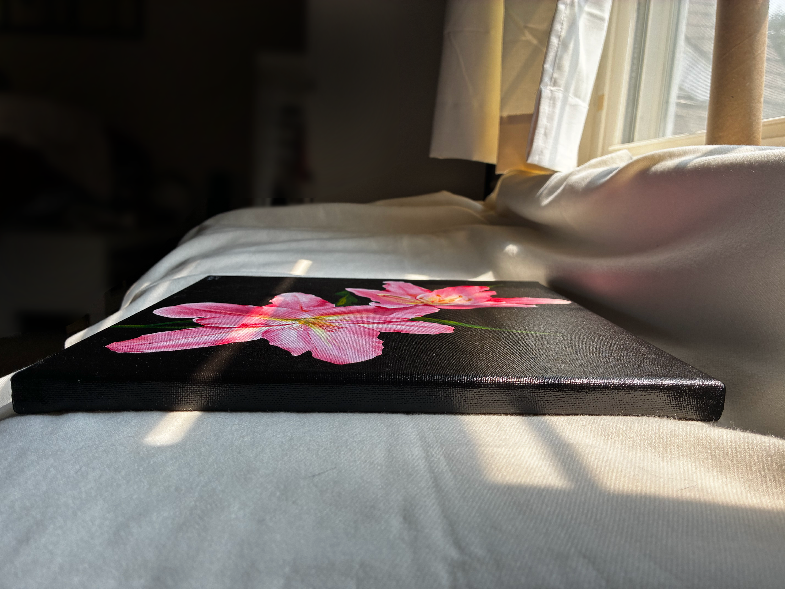 Untitled377_20260812125012.PNG