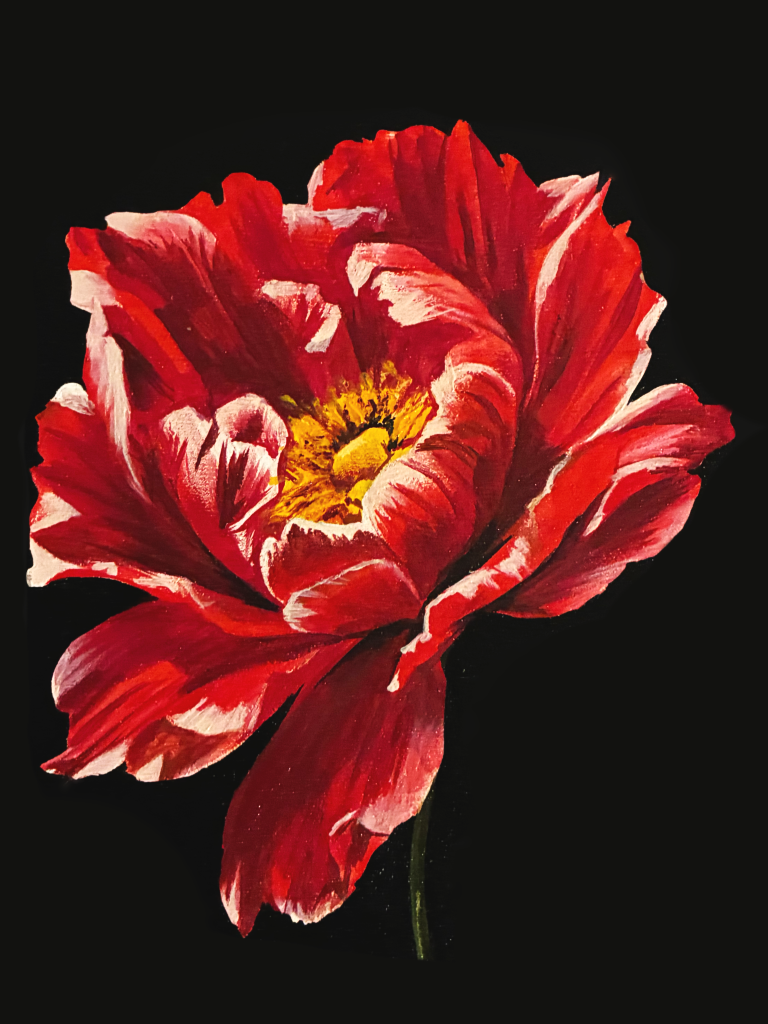 Untitled390_20260817222125.png