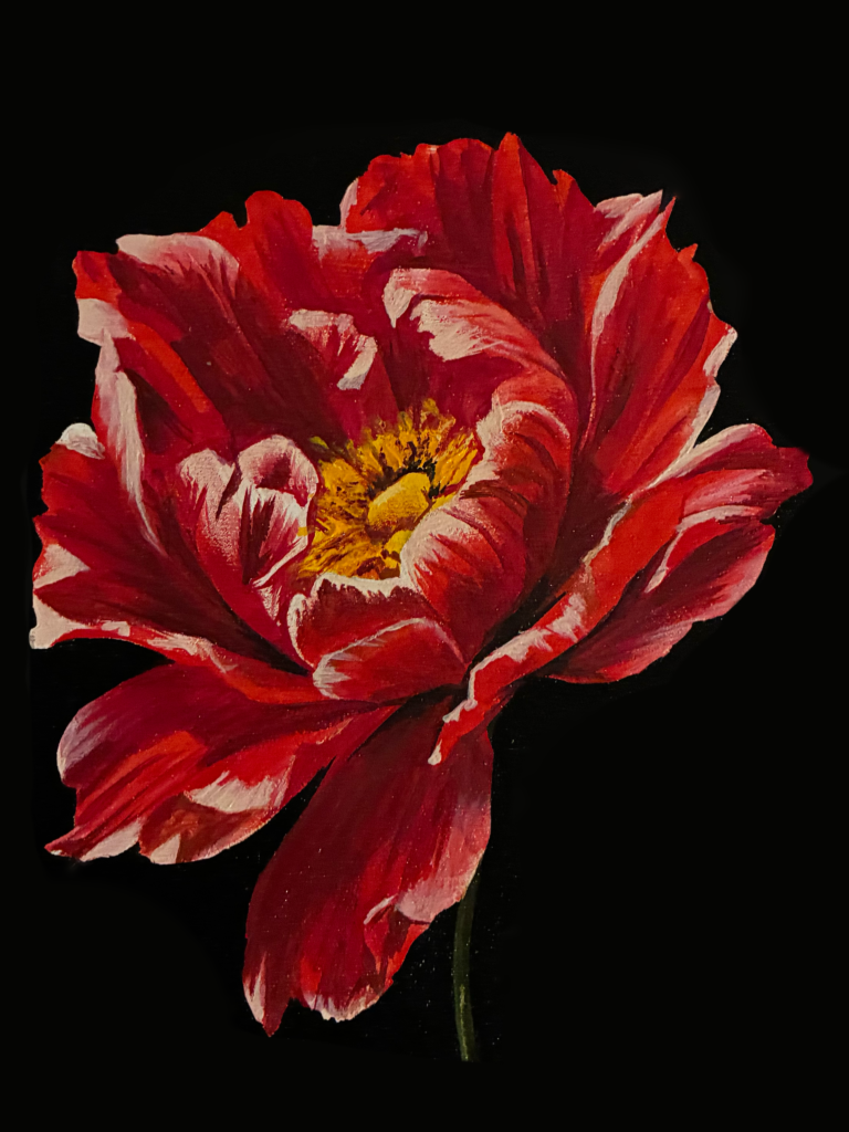 Red Carnation Original