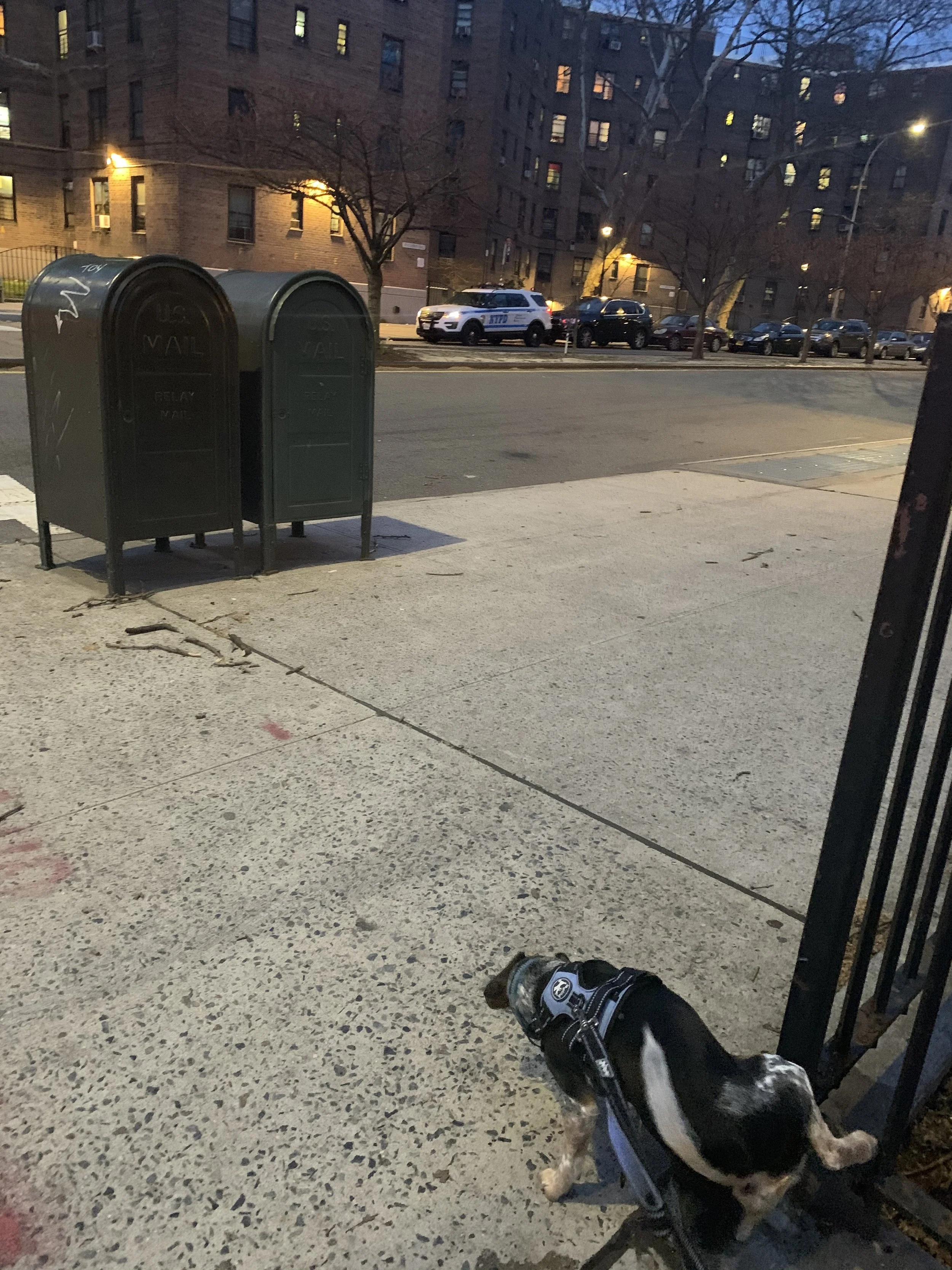 IMG_2902.jpeg