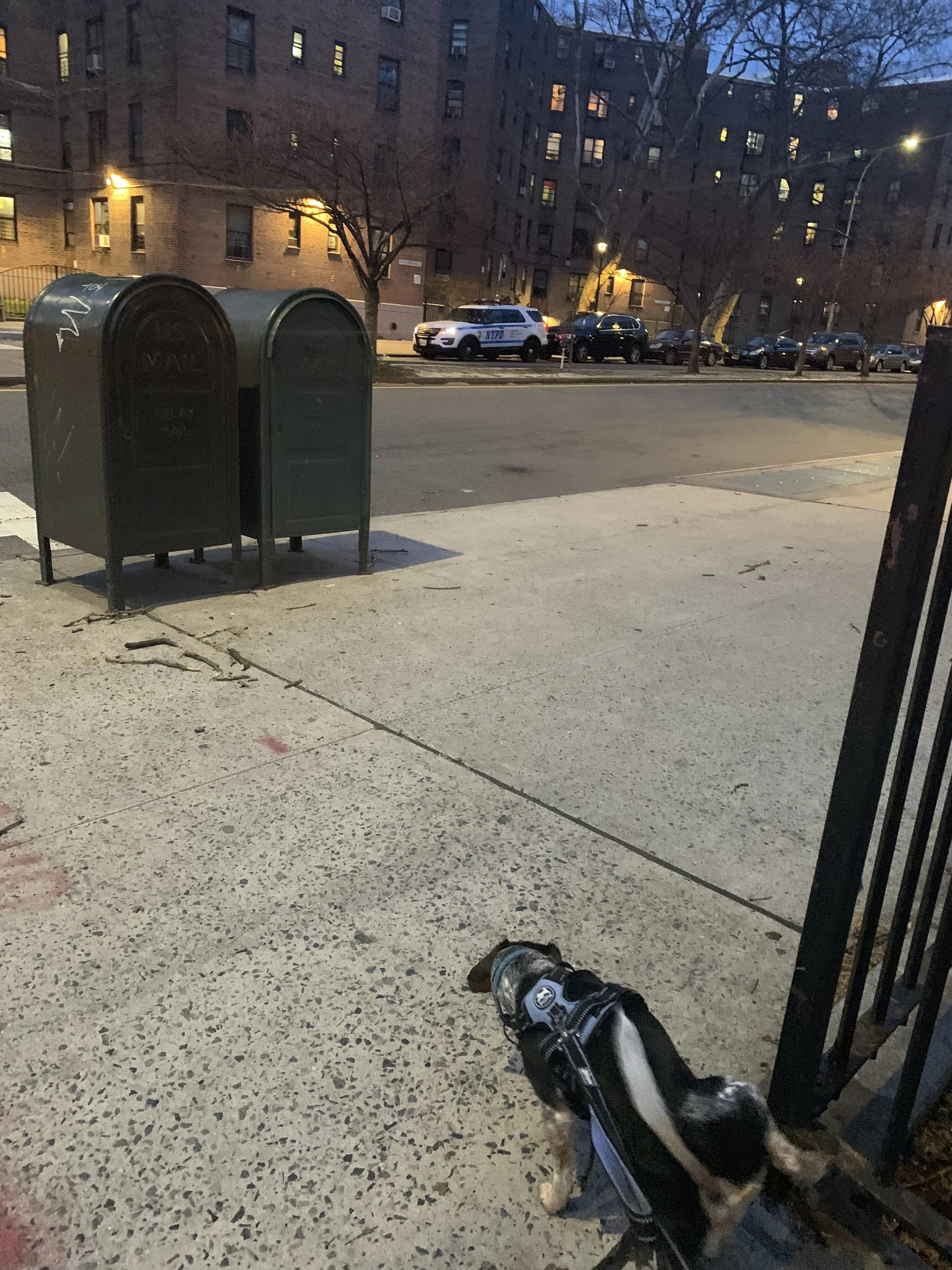 IMG_2903.jpeg