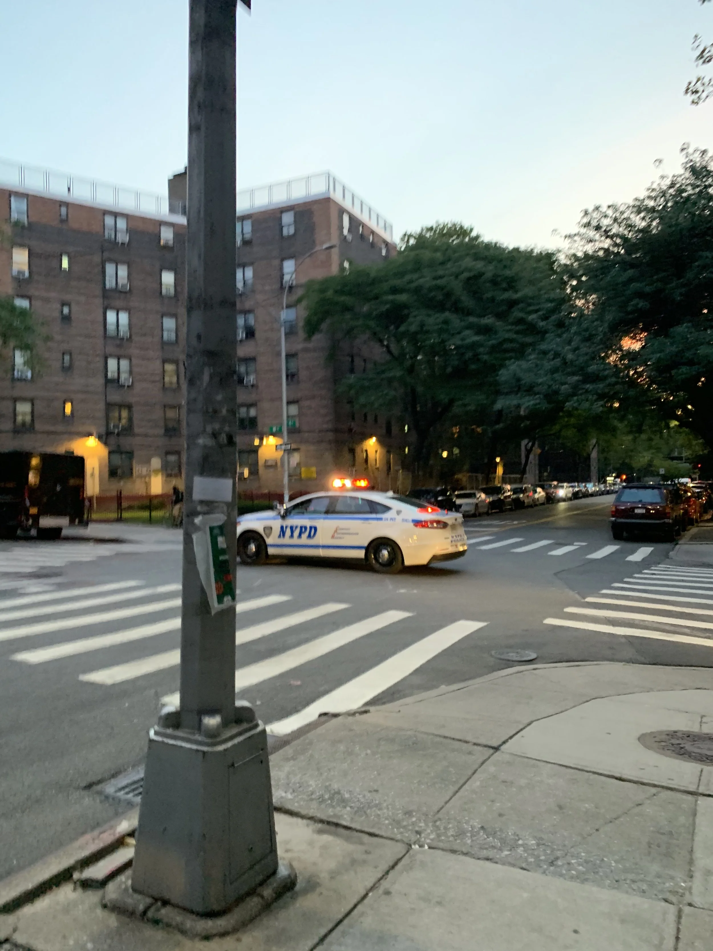 IMG_5923.jpeg