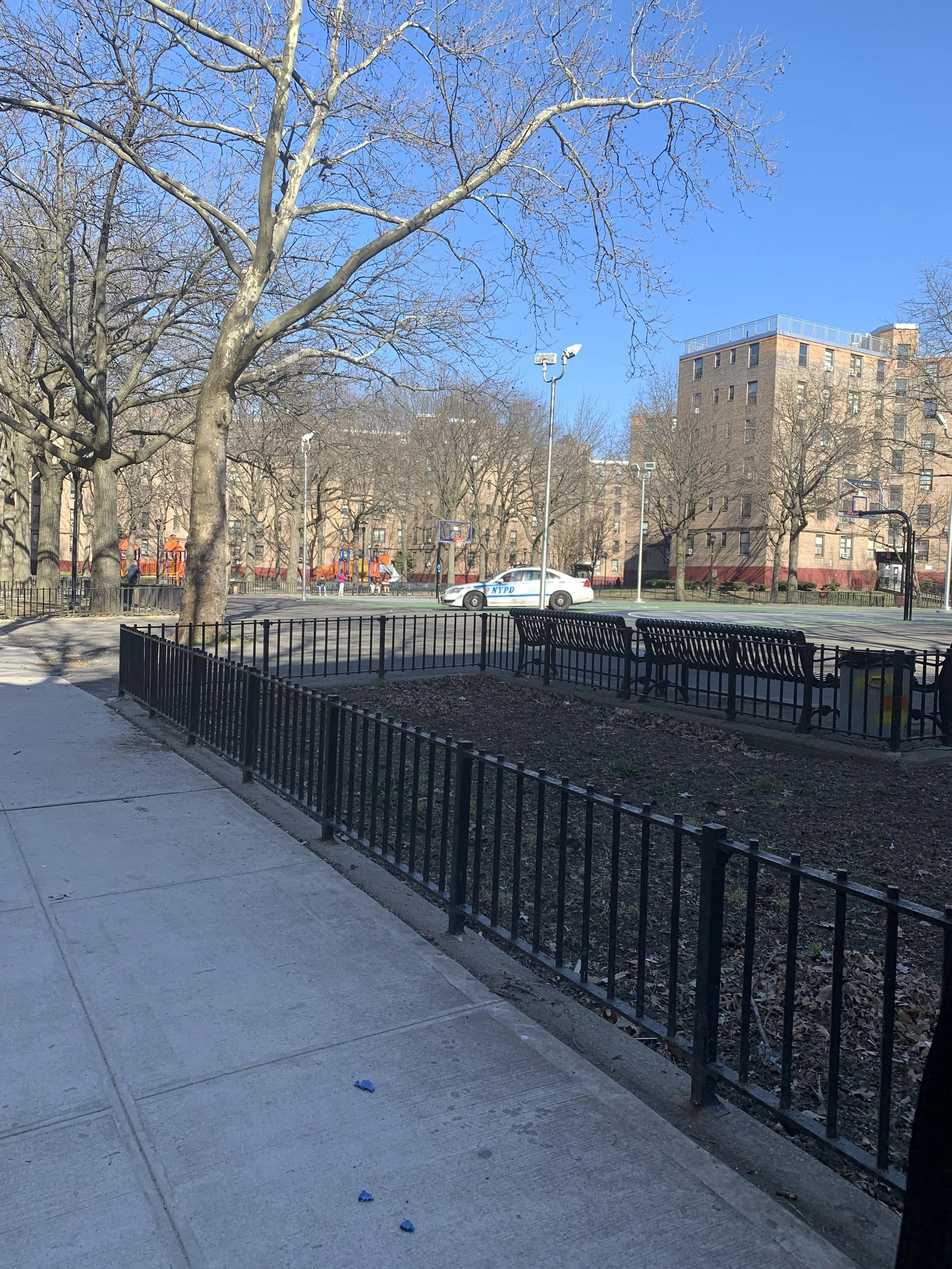 IMG_2064.jpeg