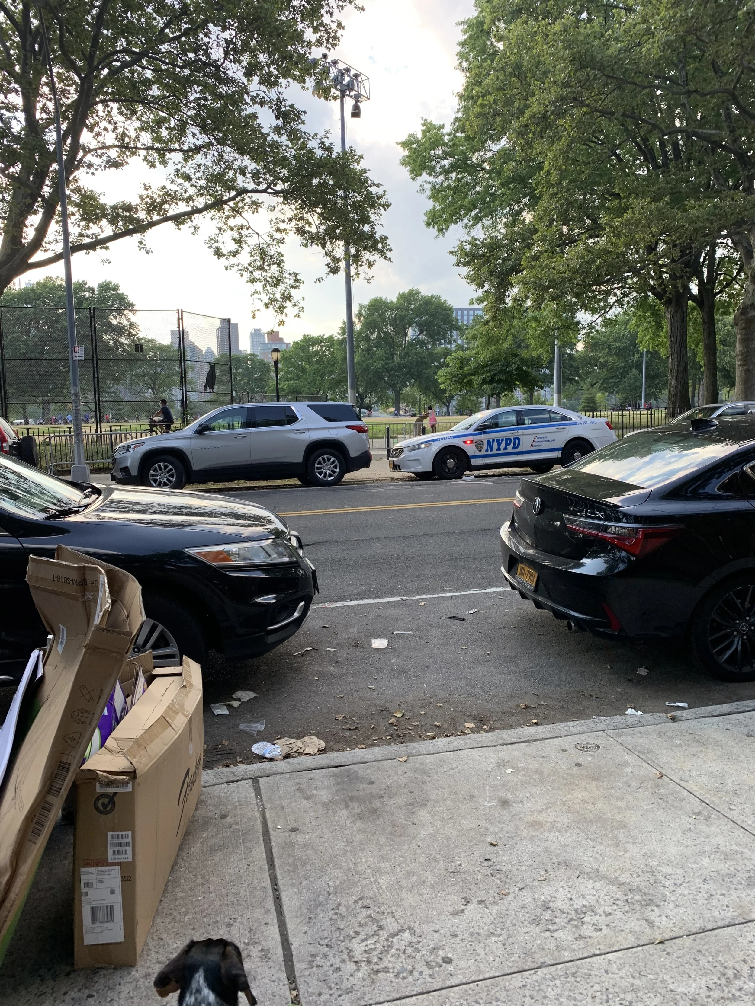 IMG_5029.jpeg