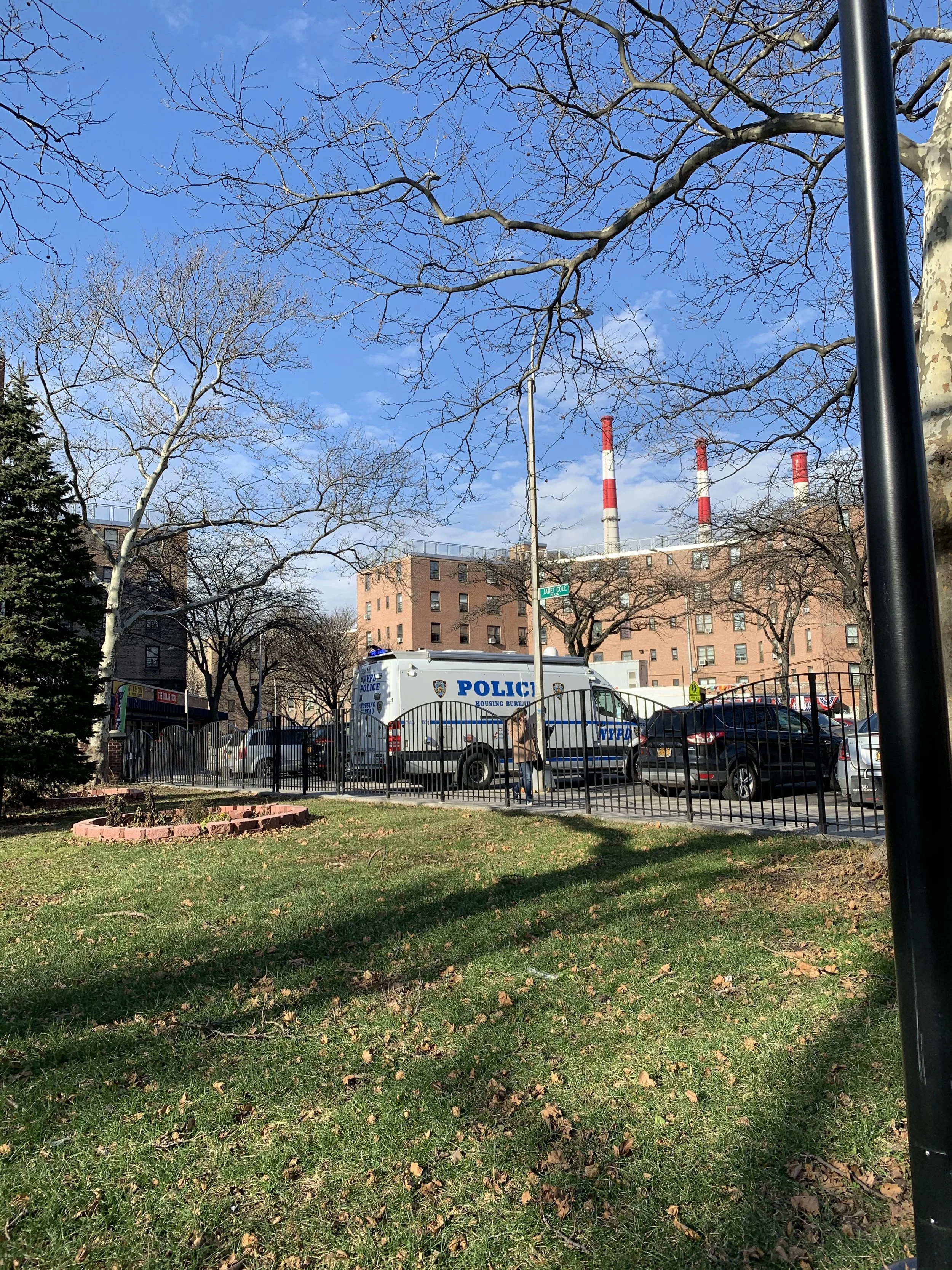 IMG_0706.jpeg