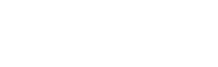 Bloom&amp;Co Creative Consulting 