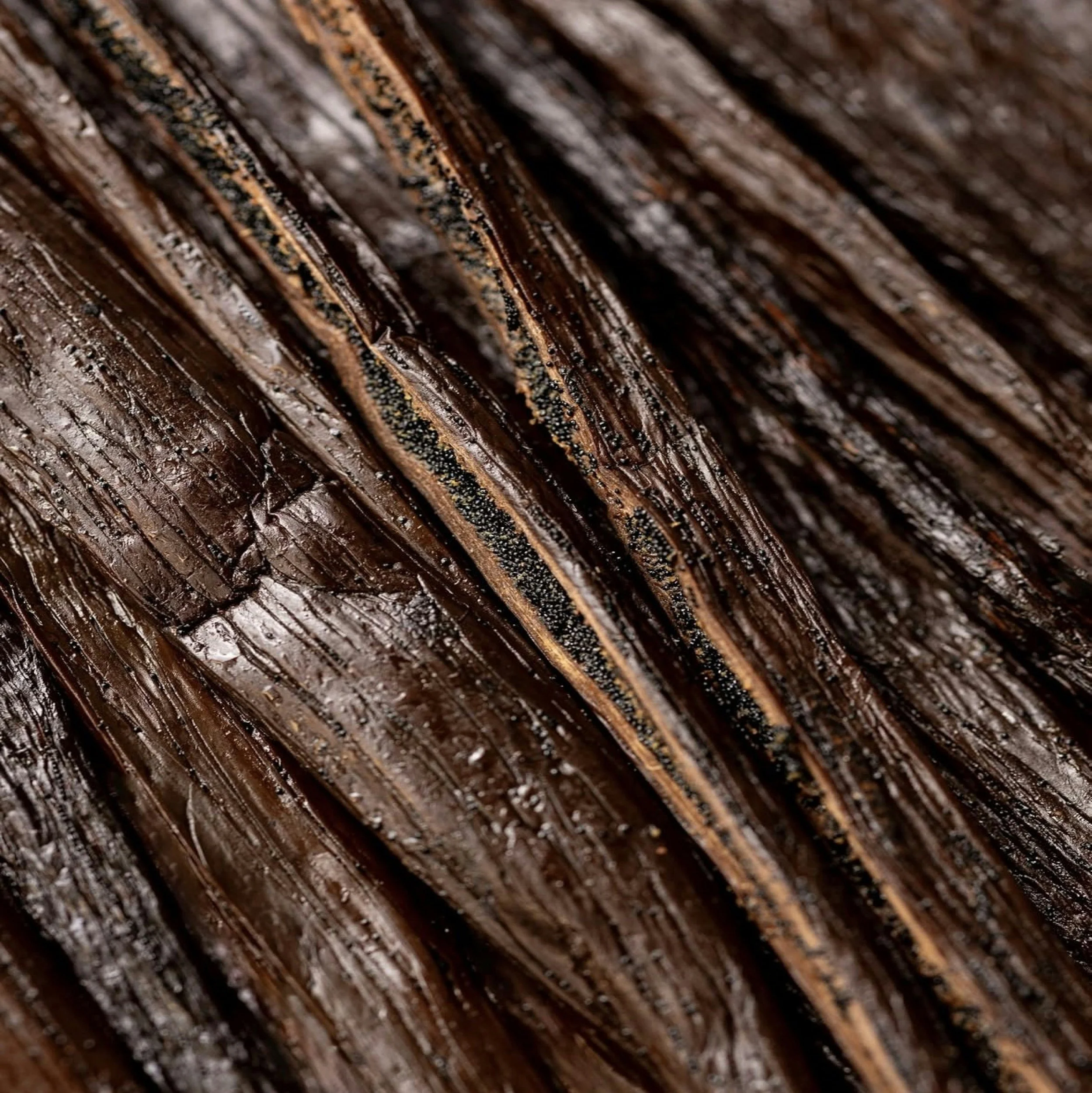 Close-up of worn, brown wooden planks with visible grain and texture.