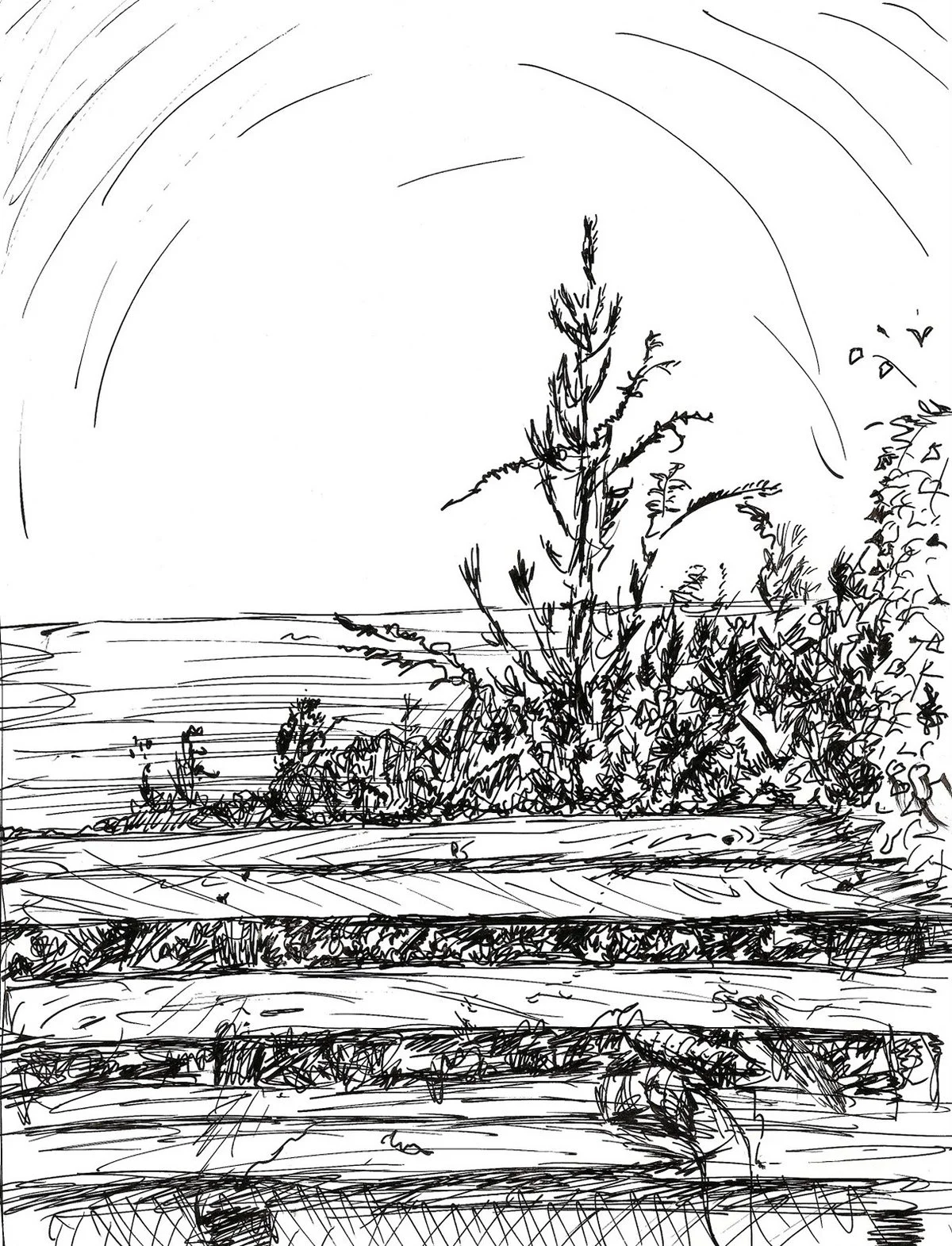 ed37ab93-02d9-41e0-a771-8ab1d82350c7_rw_1200.jpg