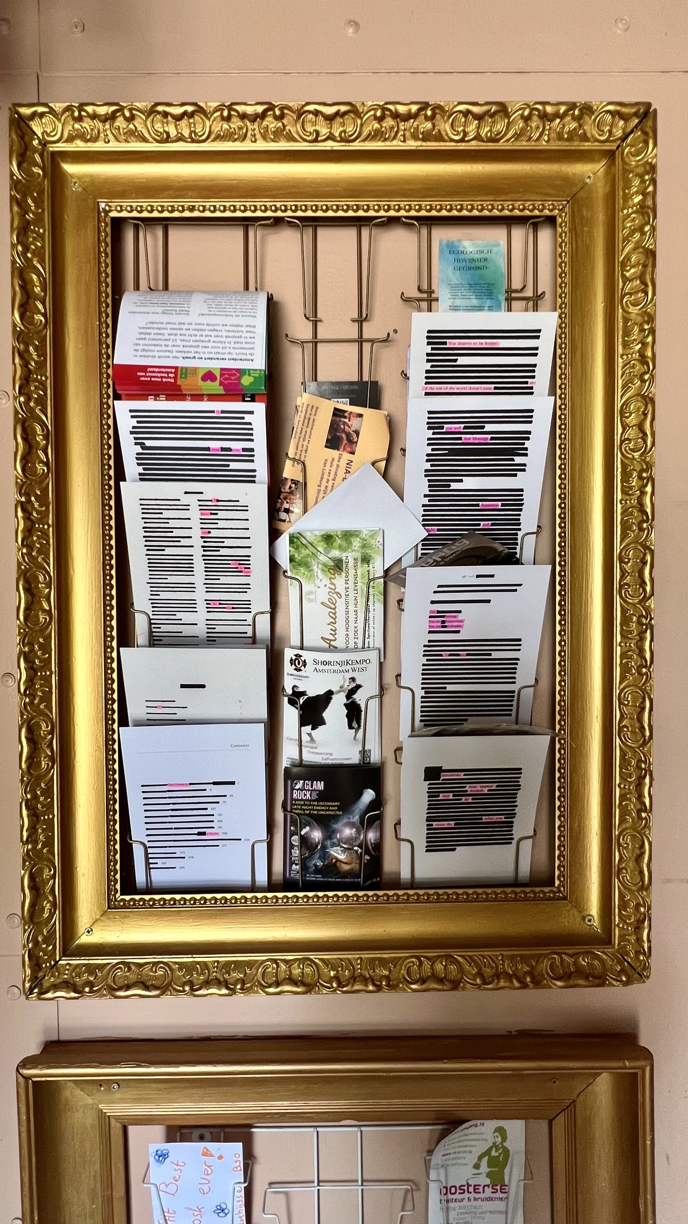 Display frame with various flyers and documents, some highlighted in pink, organized in metal holders, mounted on a wall with a decorative gold-colored frame.