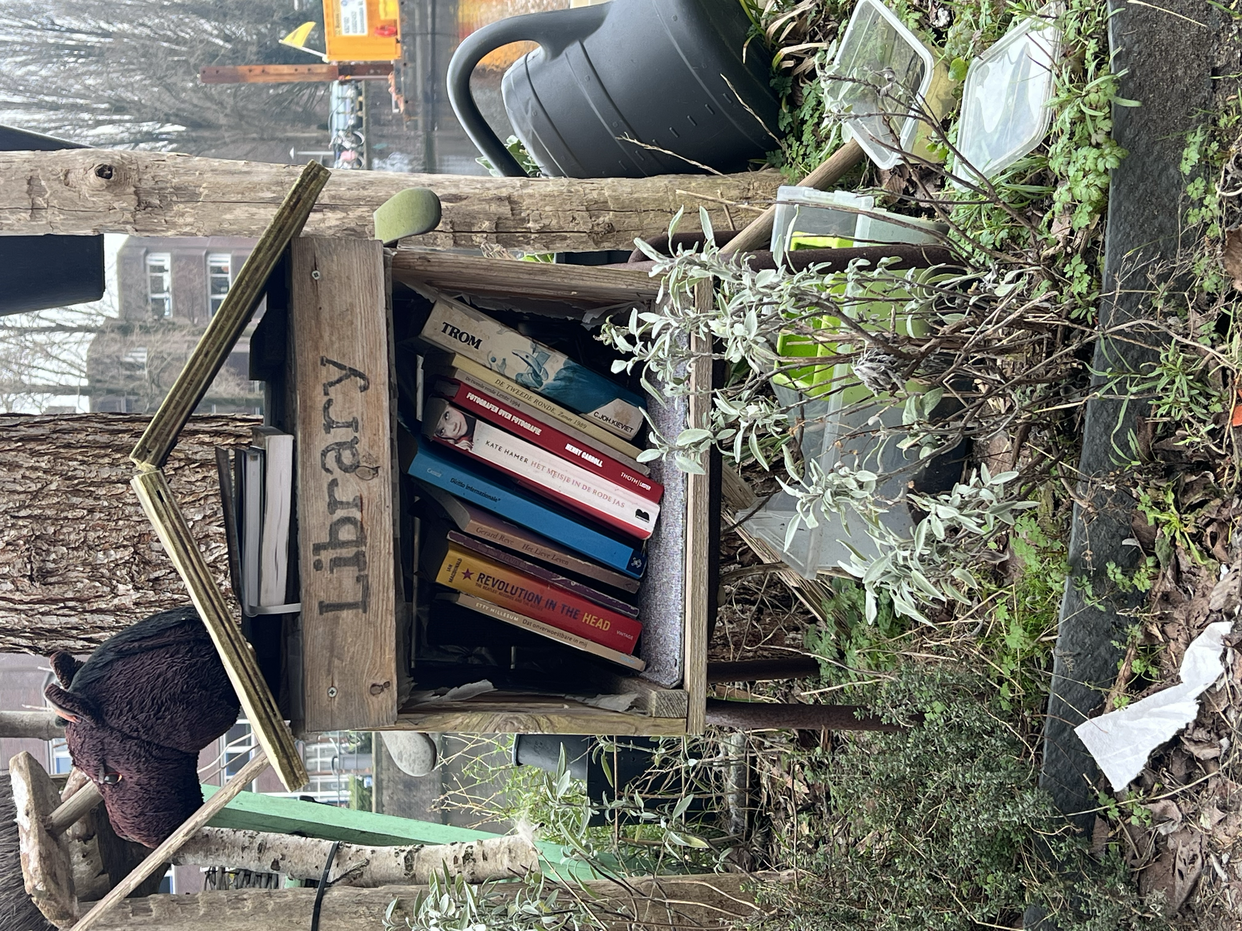 A small garden with a wooden bookshelf holding several books, some plants, and a supply container in the background. There is a tree trunk and a black watering can near the shelf.