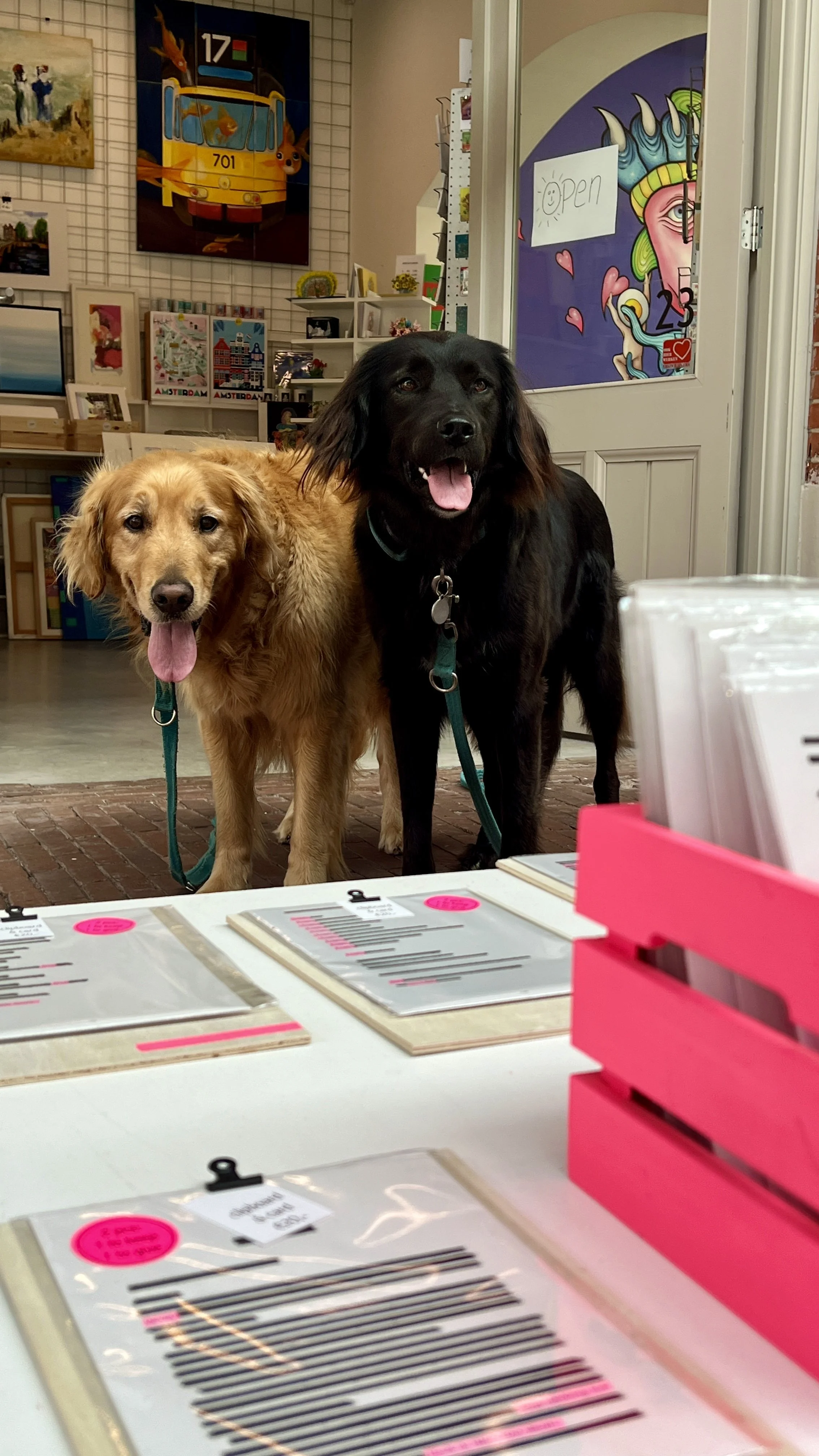 Two dogs, one golden retriever and one black Greek rescue, standing inside a store near a counter with pink file organizers and paperwork. The store has colorful artwork on the walls and a sign on the door that says 'Open'.