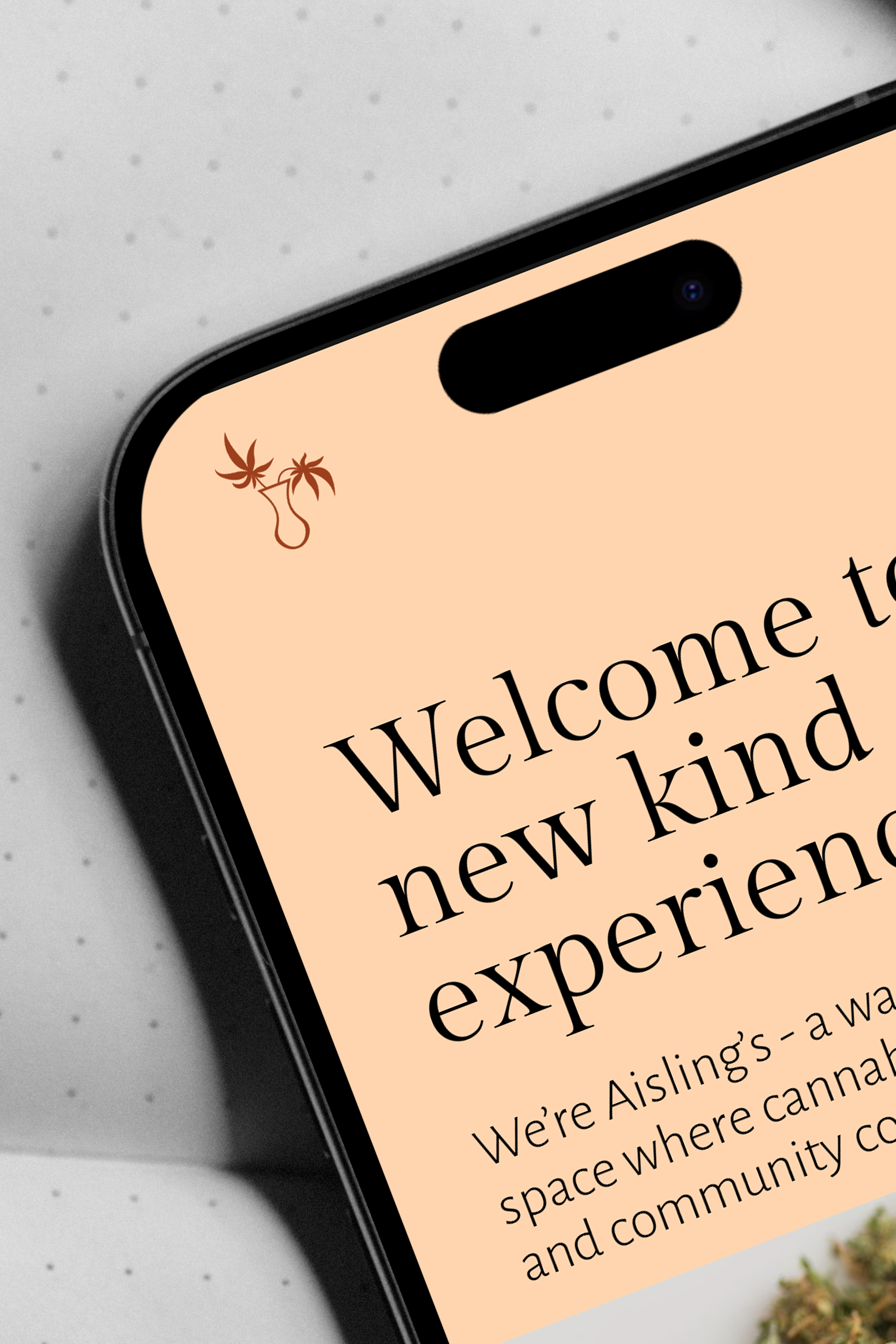 Close-up of a smartphone screen displaying text that reads "Welcome to a new kind of experience" with Aisling's brand mark at the top left of the iPhone screen.
