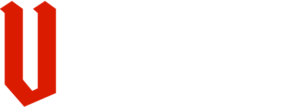 Image for D-I-V-I-L-S process, with the word 'VISION' in bold white letters on a black background and a red design element.
