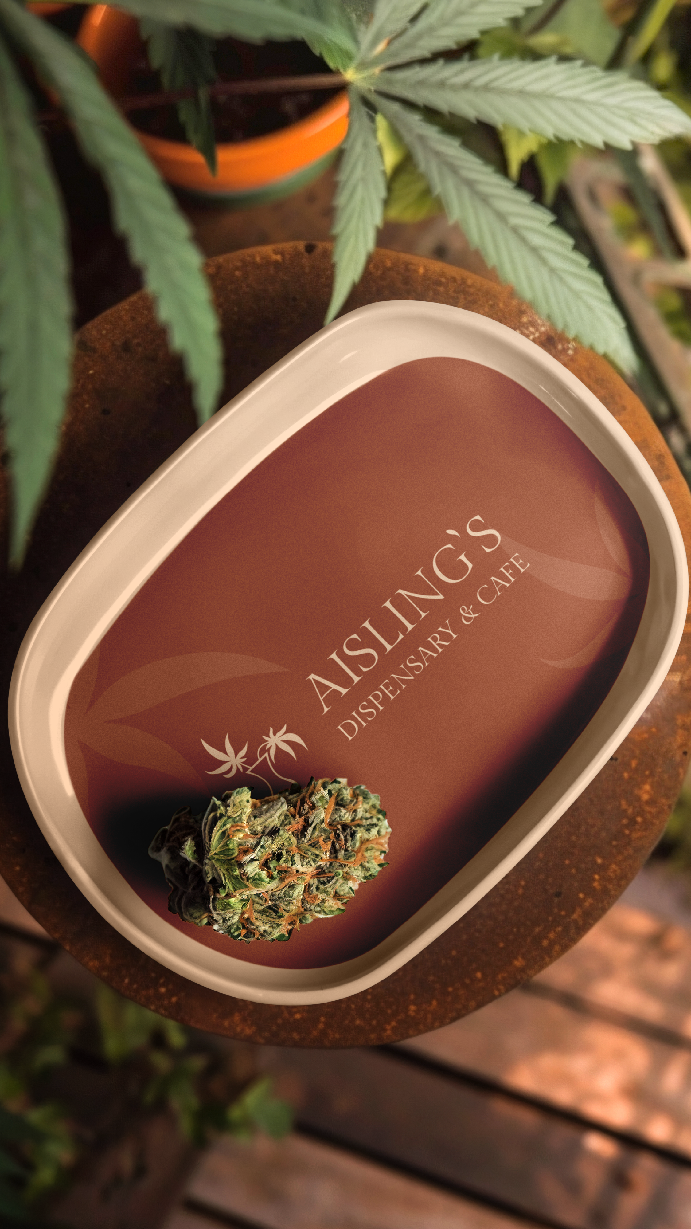 A rolling tray with 'Aisling's Dispensary & Cafe' logo with a cannabis bud and a cannabis leaf in the background.