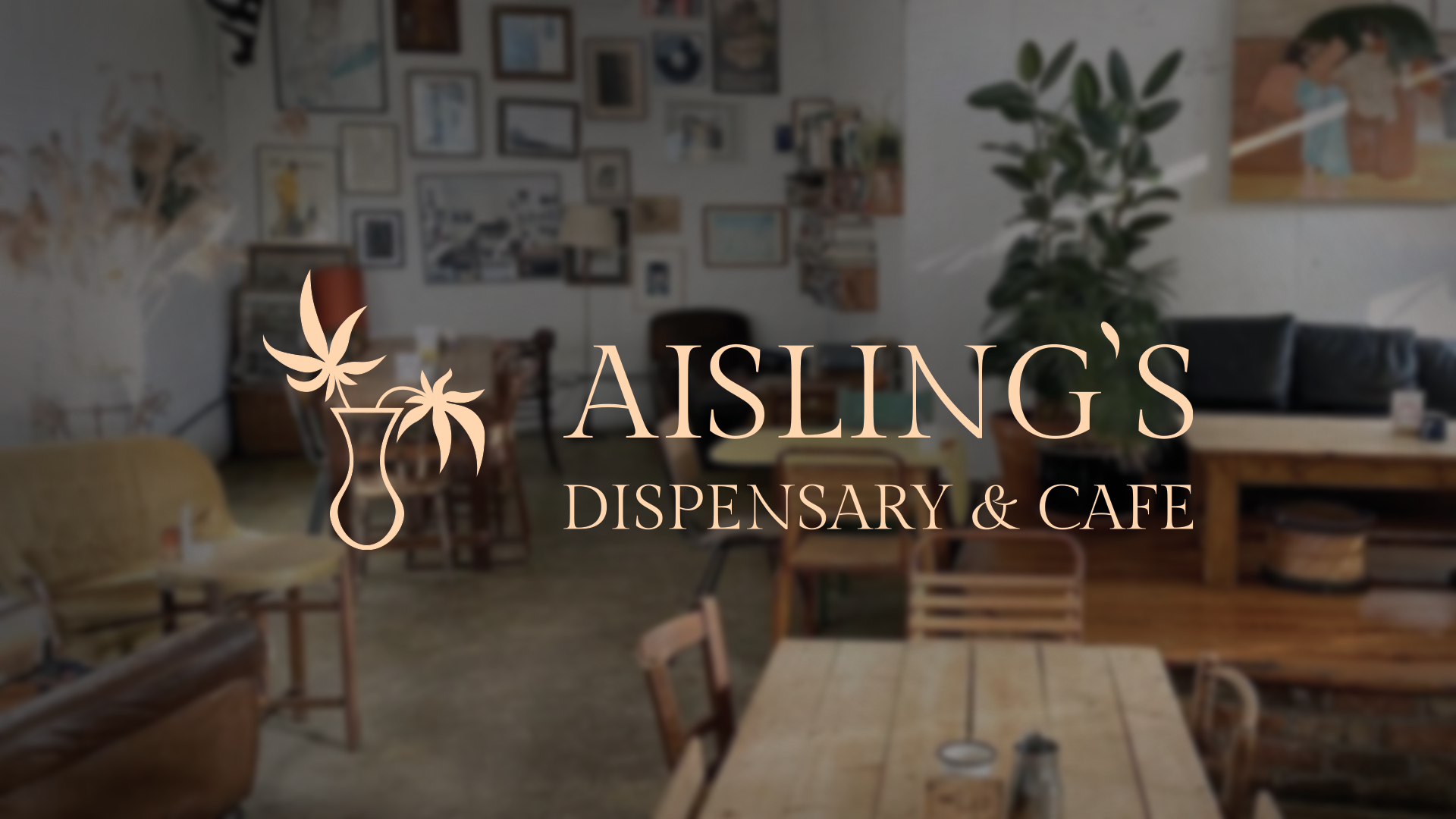 Logo for Aisling's Dispensary & Cafe with a stylized cannabis leaf in a vase, over a blurred interior of a cozy cafe with wooden tables, chairs, a sofa, potted plant, and wall art.