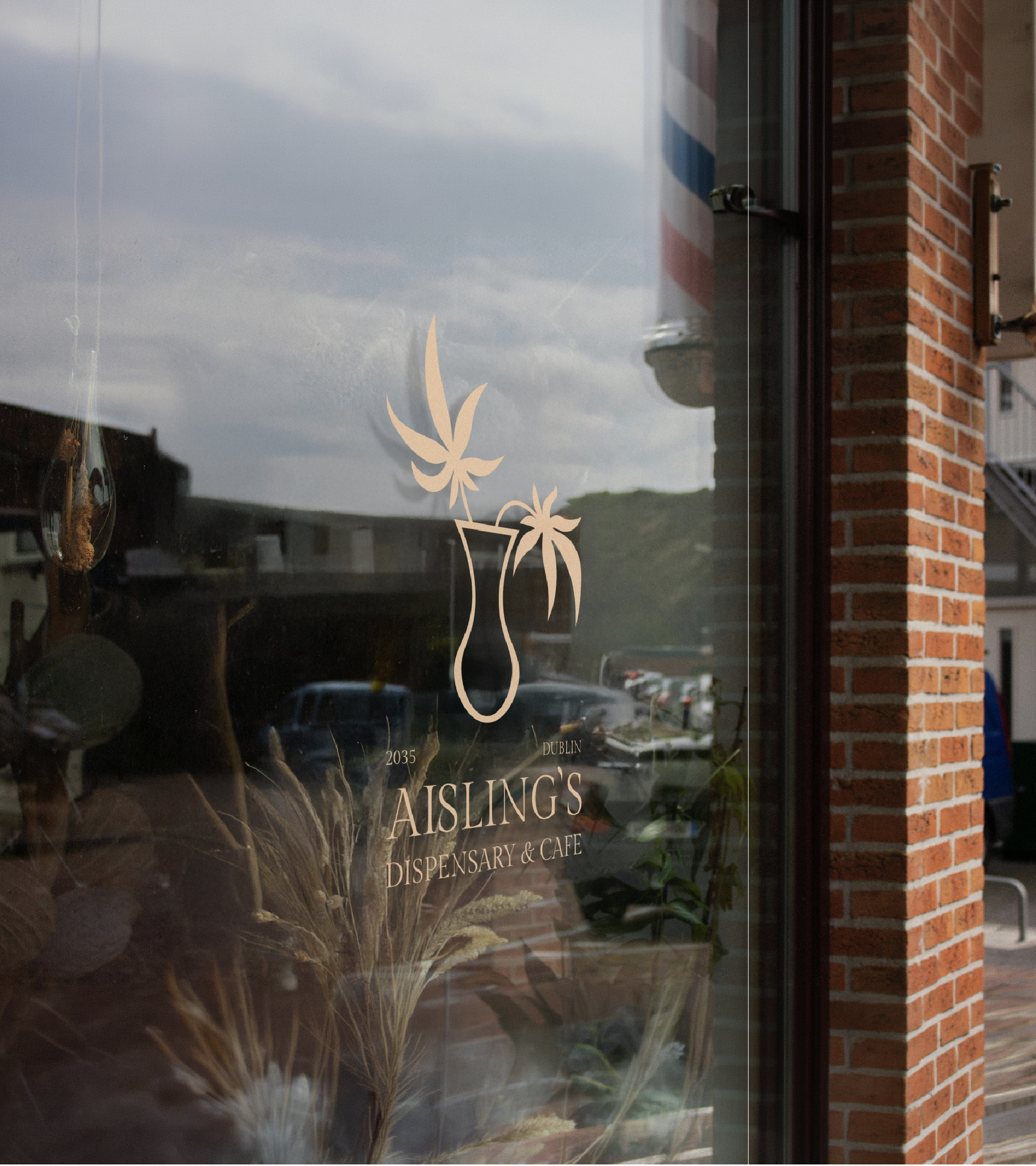 A glass window with a decorative design of a potted plant with tall grasses, the window reflects the cloudy sky and nearby buildings, and has the name 'Aisling's' along with details about the dispensary and cafe.