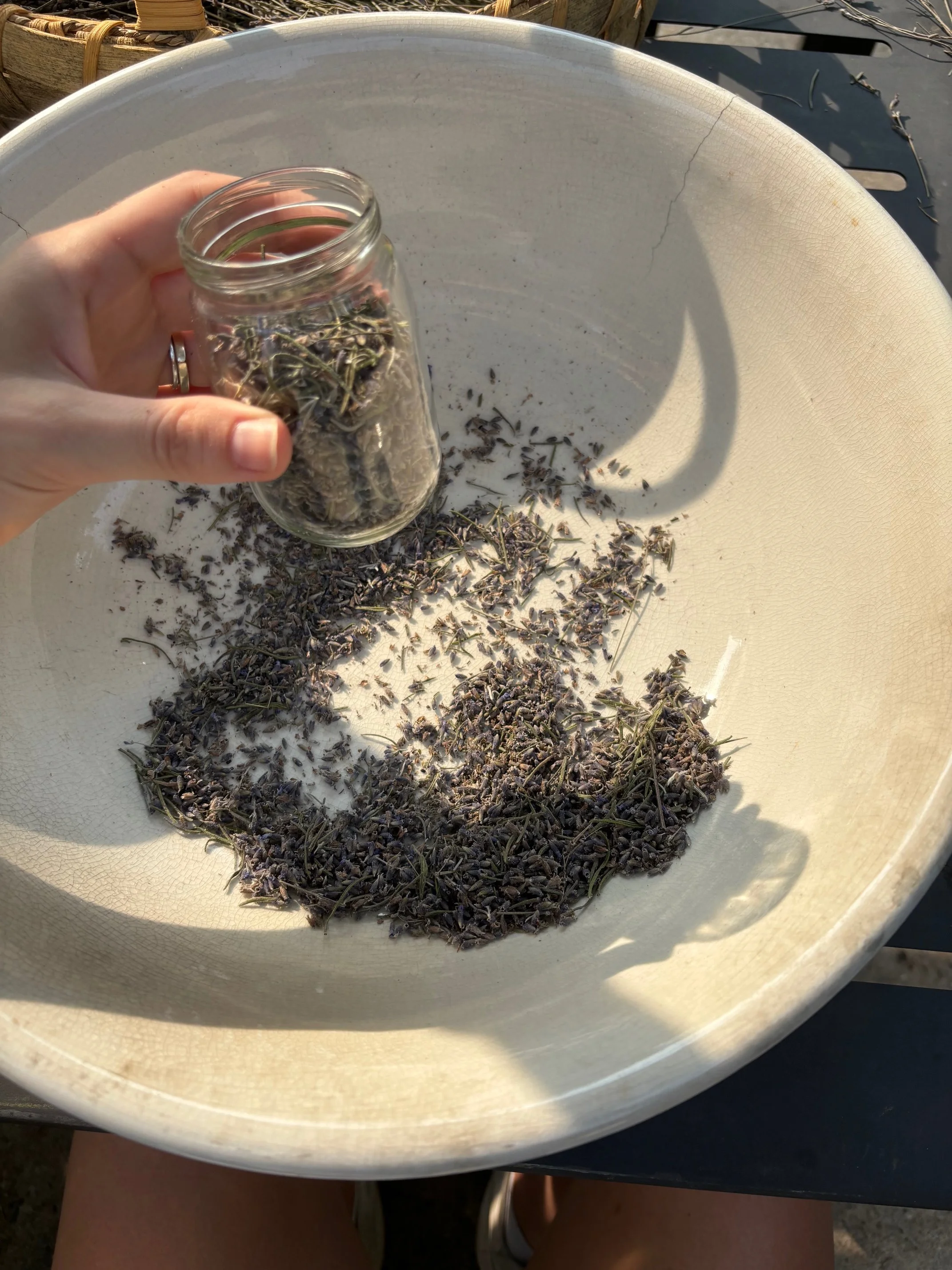 I Harvested Lavender. Now What?