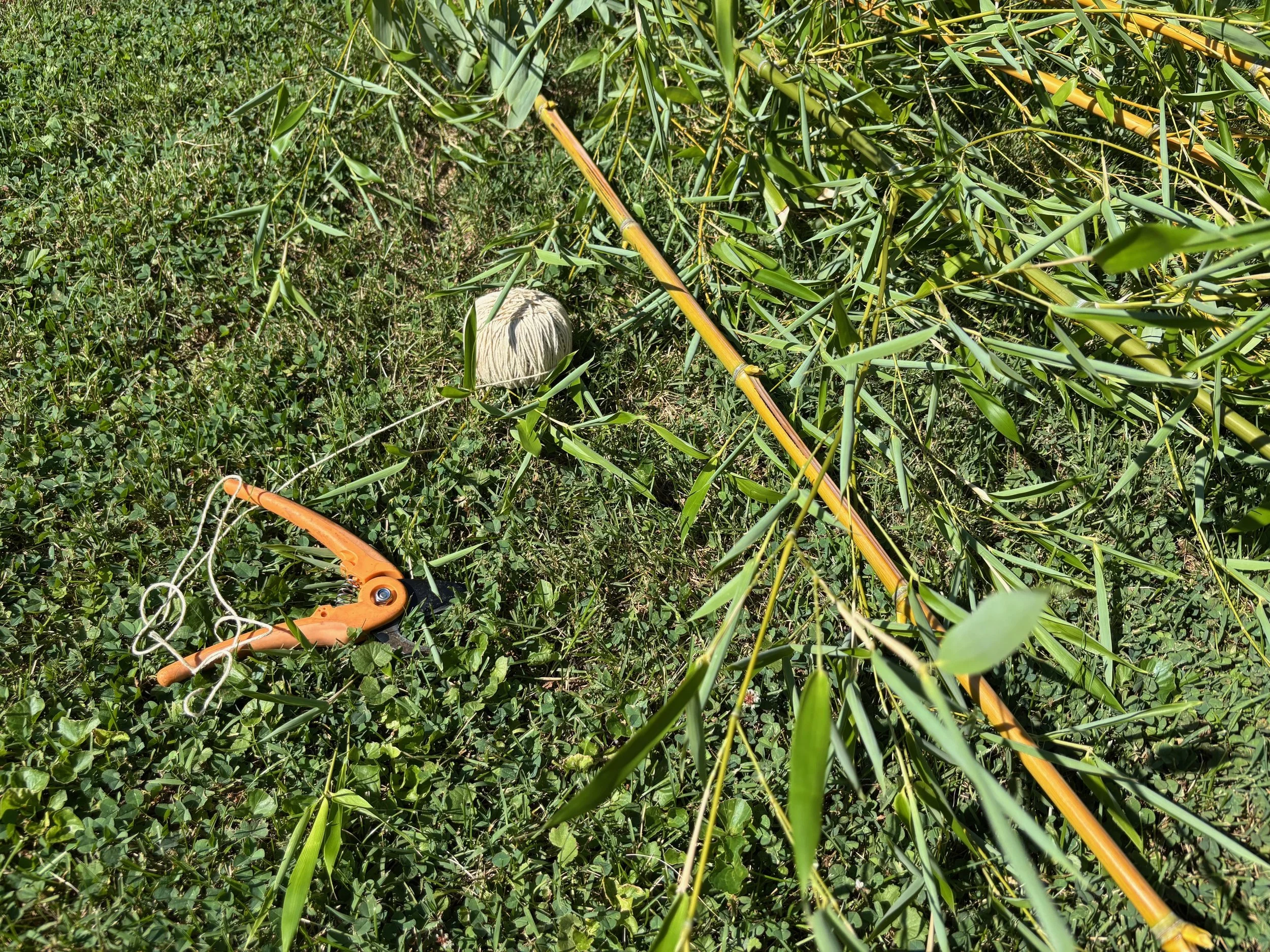 closeup of garden clippers, string and bamboo materials for garden bed cage