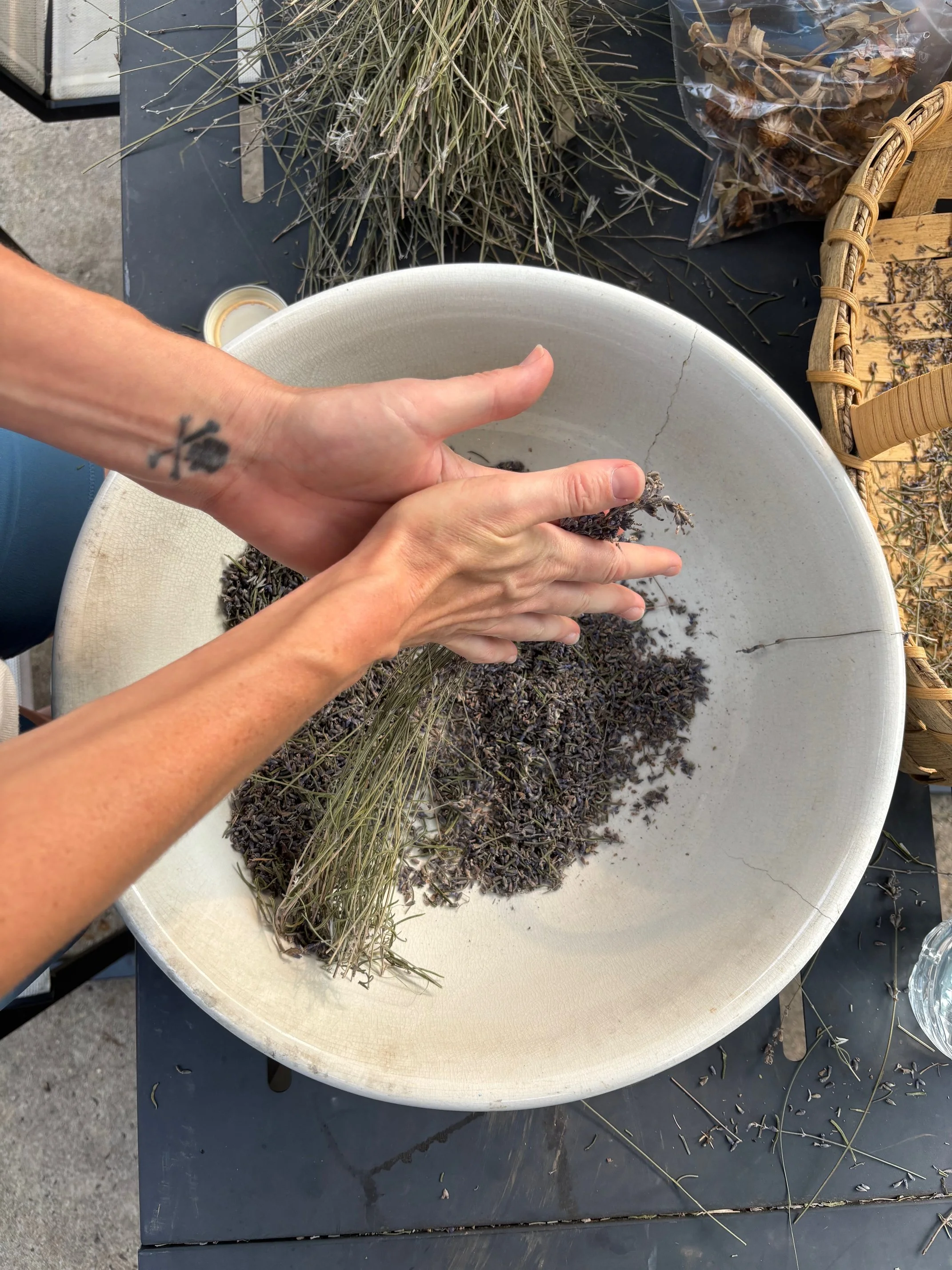 hands rubbing lavendar to release the flowers into white bowl