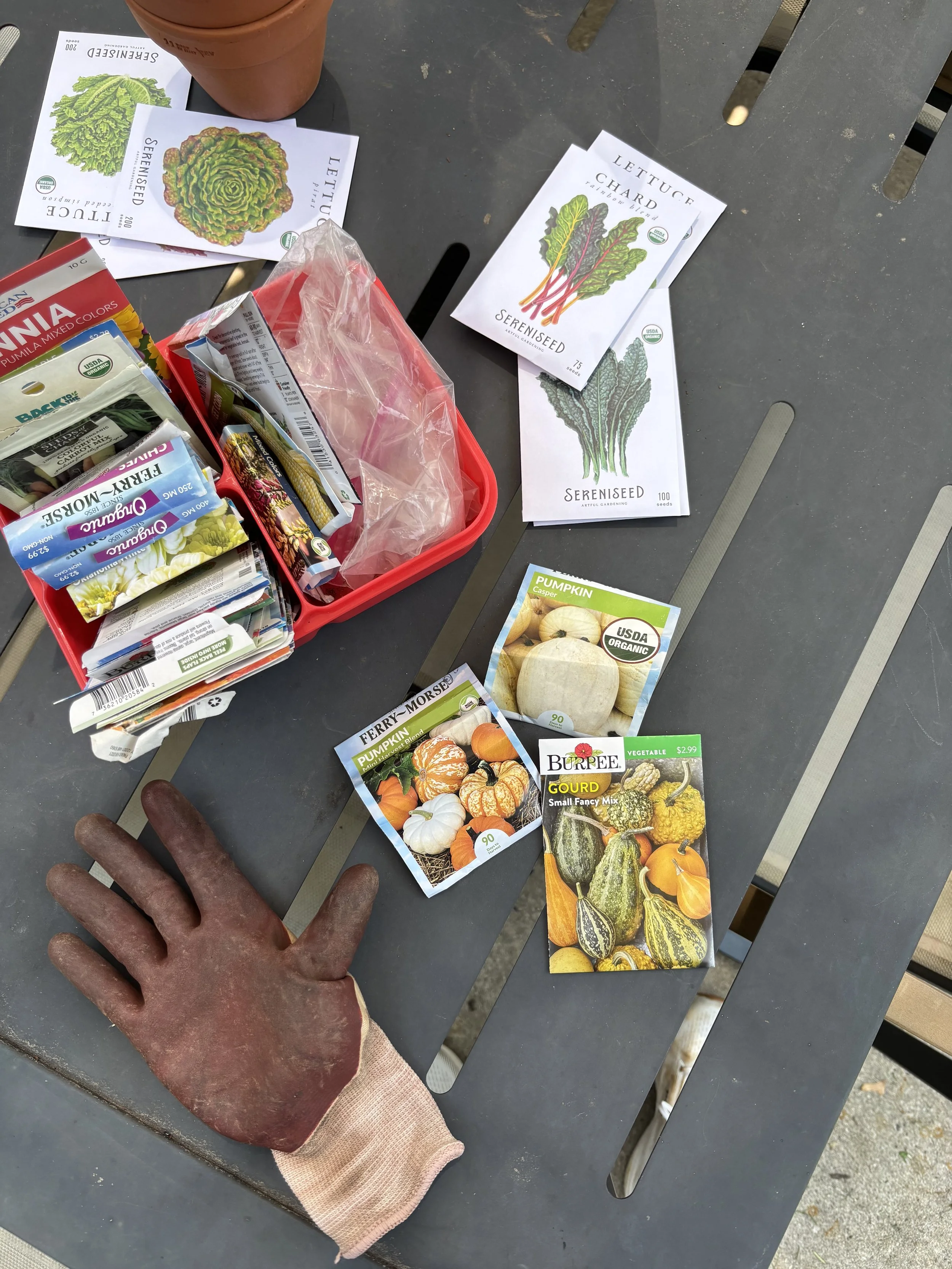 fall seed packets on an outdoor table pumpkins, gourds, lettuce, chard and others.jpeg