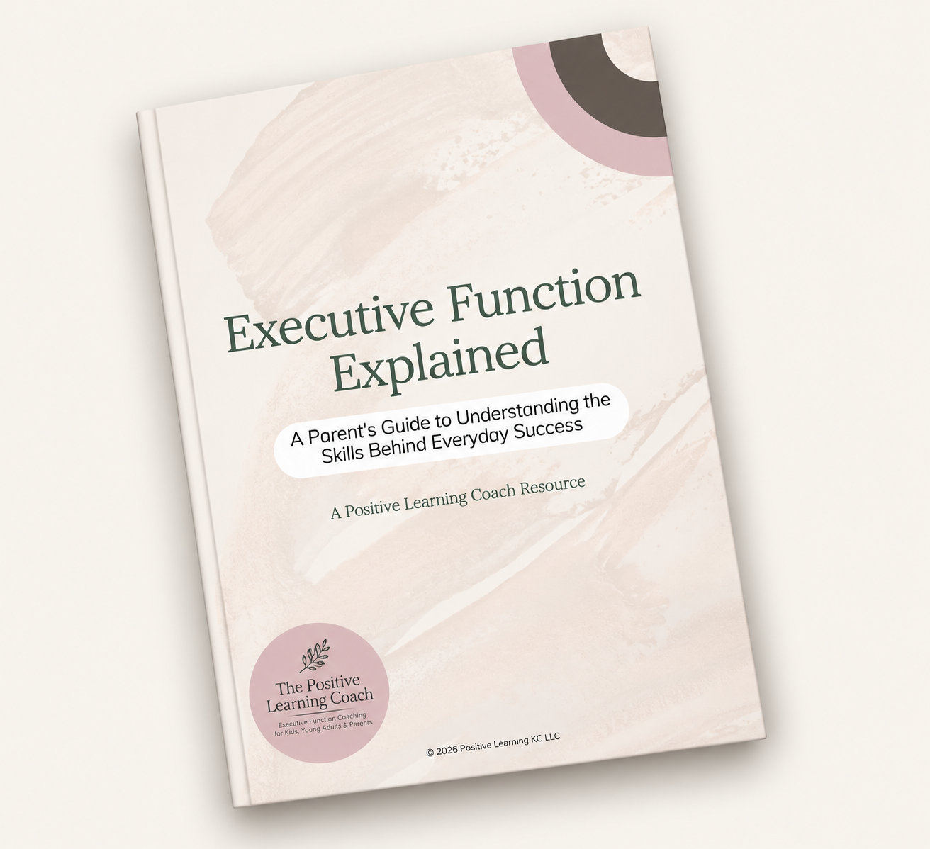 A book titled "Executive Function Explained" with a subtitle "A Parent's Guide to Understanding the Skills Behind Everyday Success".