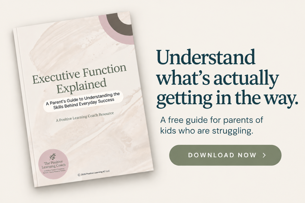 A book titled 'Executive Function Explained' alongside text that reads 'Understand what's actually getting in the way. A free guide for parents of kids who are struggling.' There is a button labeled 'Download Now'.