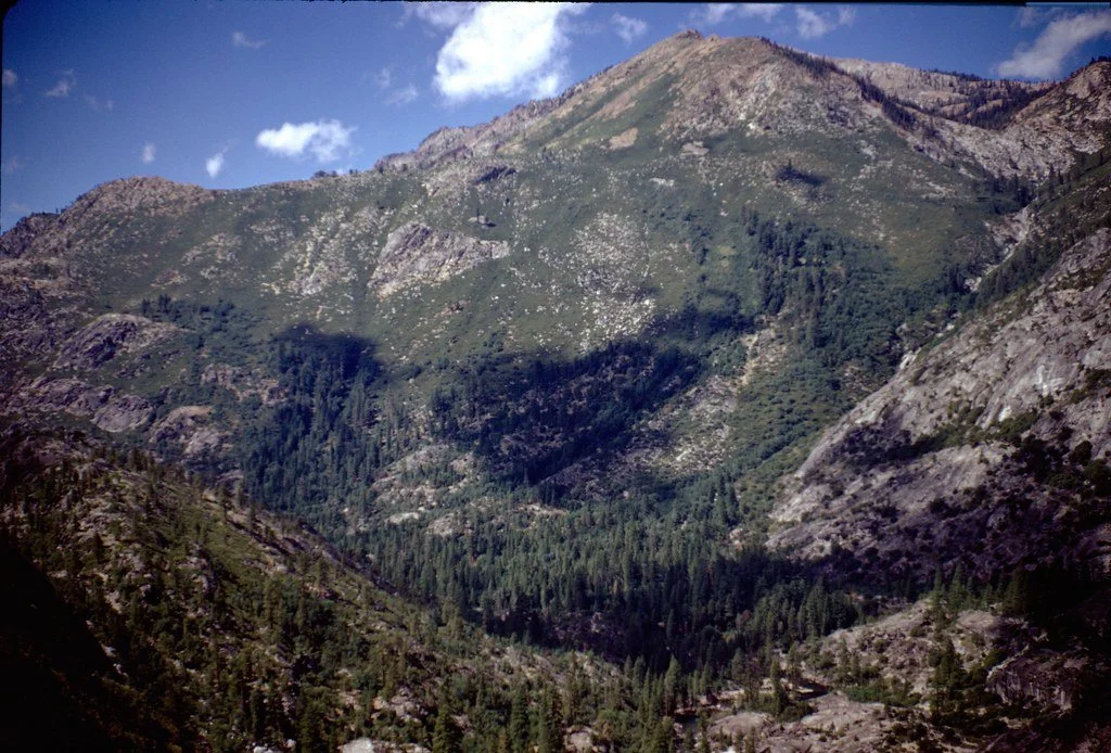 19711--77_21116732189_l.jpg