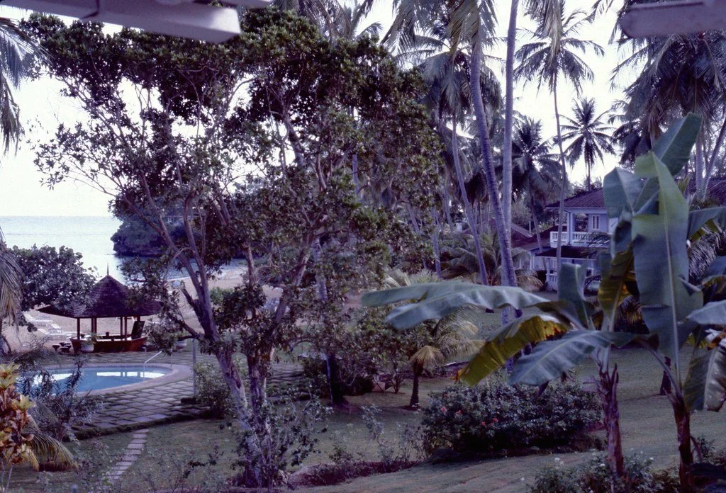 197871--001_20894926223_l.jpg
