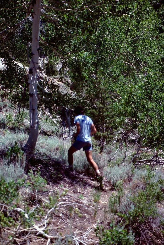 19761-072_21473883515_l.jpg